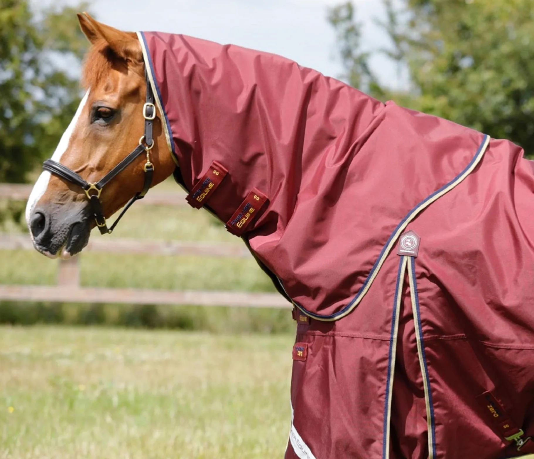 Premier Equine Manta Impermeable para Caballos con cubrecuello Buster 0 g