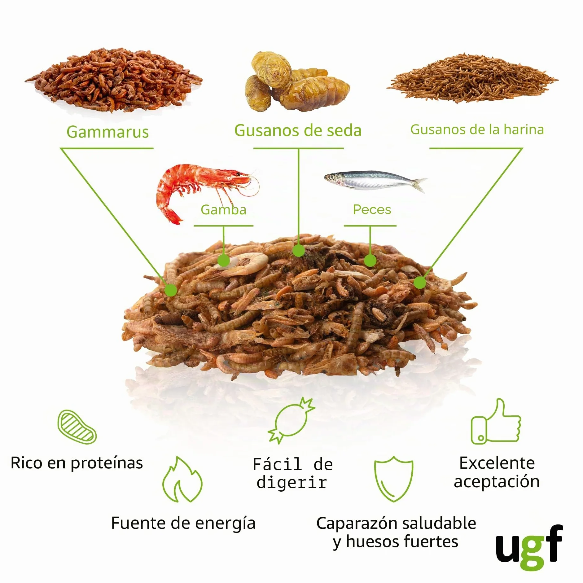 UGF - Mezcla Universal de alimento para Tortugas - 500 g en un Cubo de 3 litros, alimento equilibrado para Tortugas, gammarus, Gusanos de Seda, Gusanos de la harina, camarones y Pescado seco