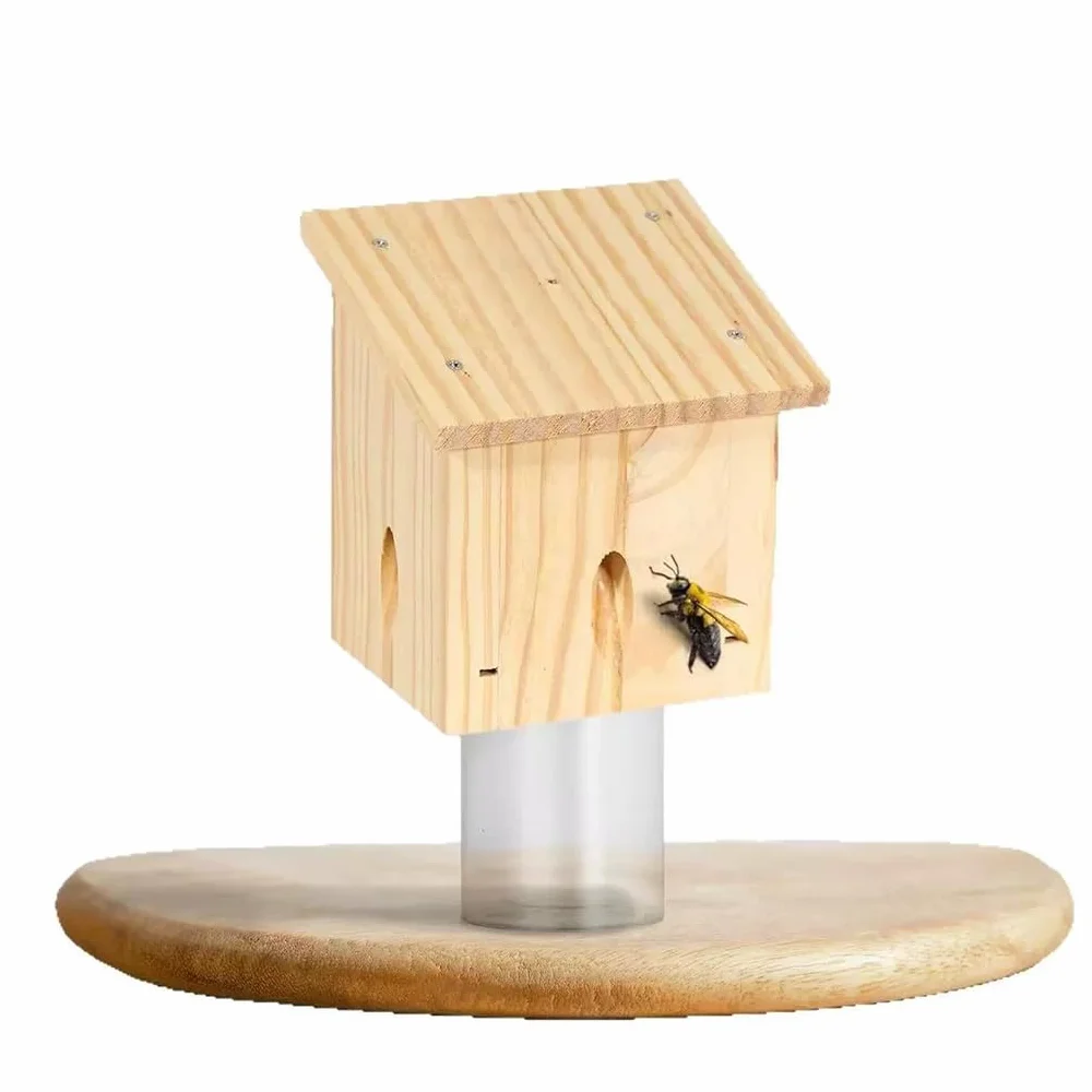 Trampa para Abejas carpinteras con Caja Fuerte Desmontable. Atrae a Las Abejas carpinteras con Cebo. Trampas Colgantes Naturales Estilo Loft, B