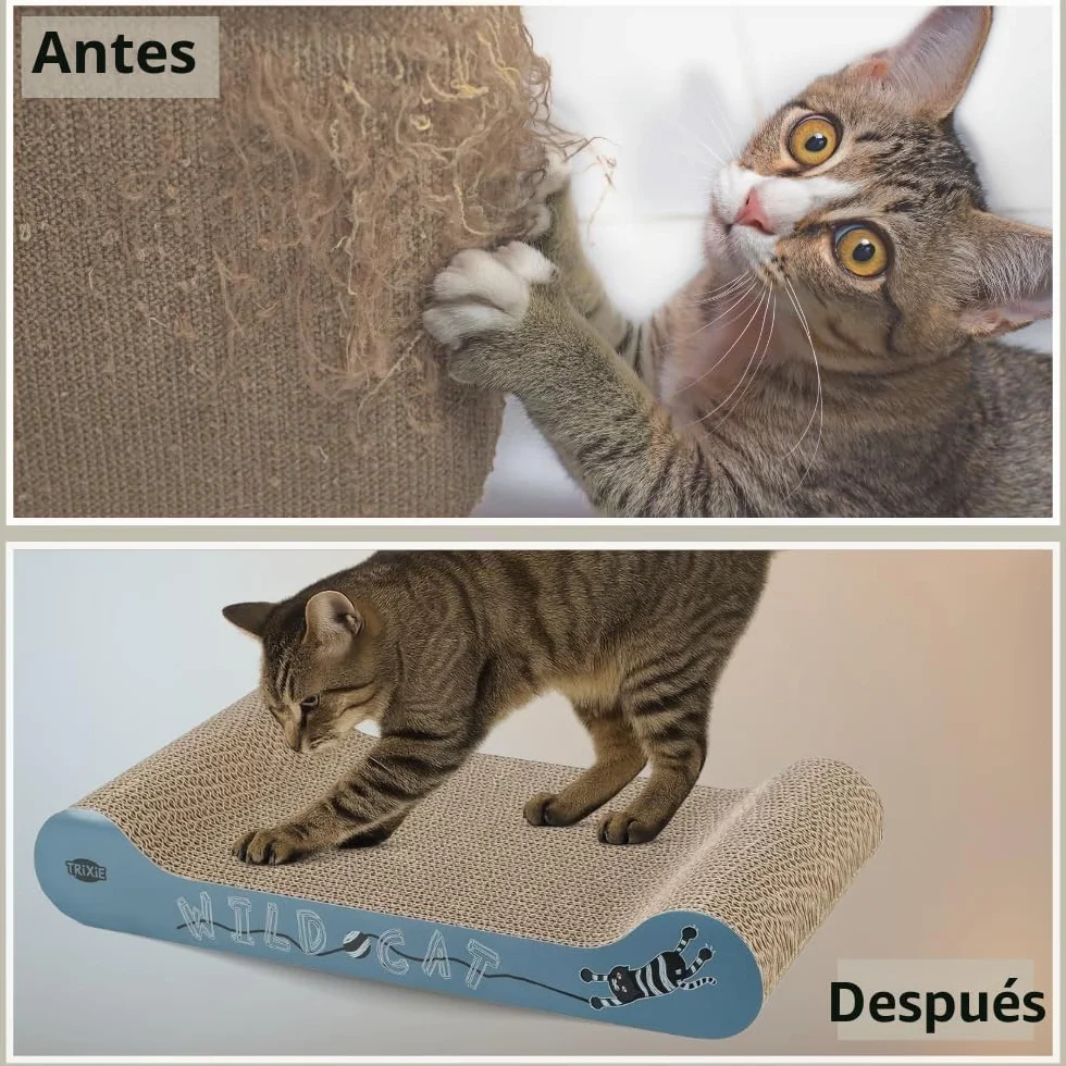 Trixie Wild Cat arañazos cartón, 41 x 24 x 7 cm), color rojo