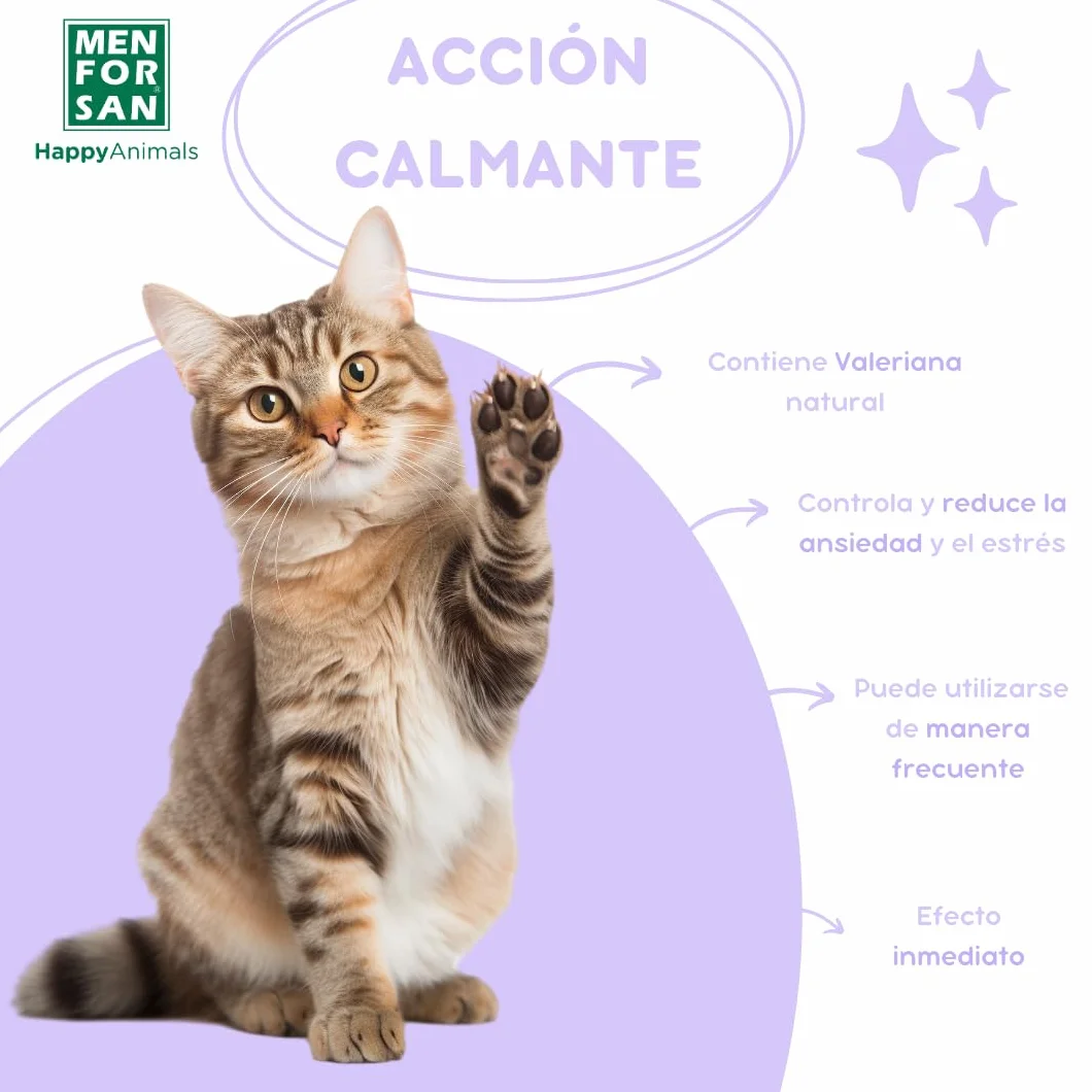 MENFORSAN Spray calmante para Gatos | con Valeriana Natural | Calma y Reduce el Estrés | Efecto Inmediato | 60 ml