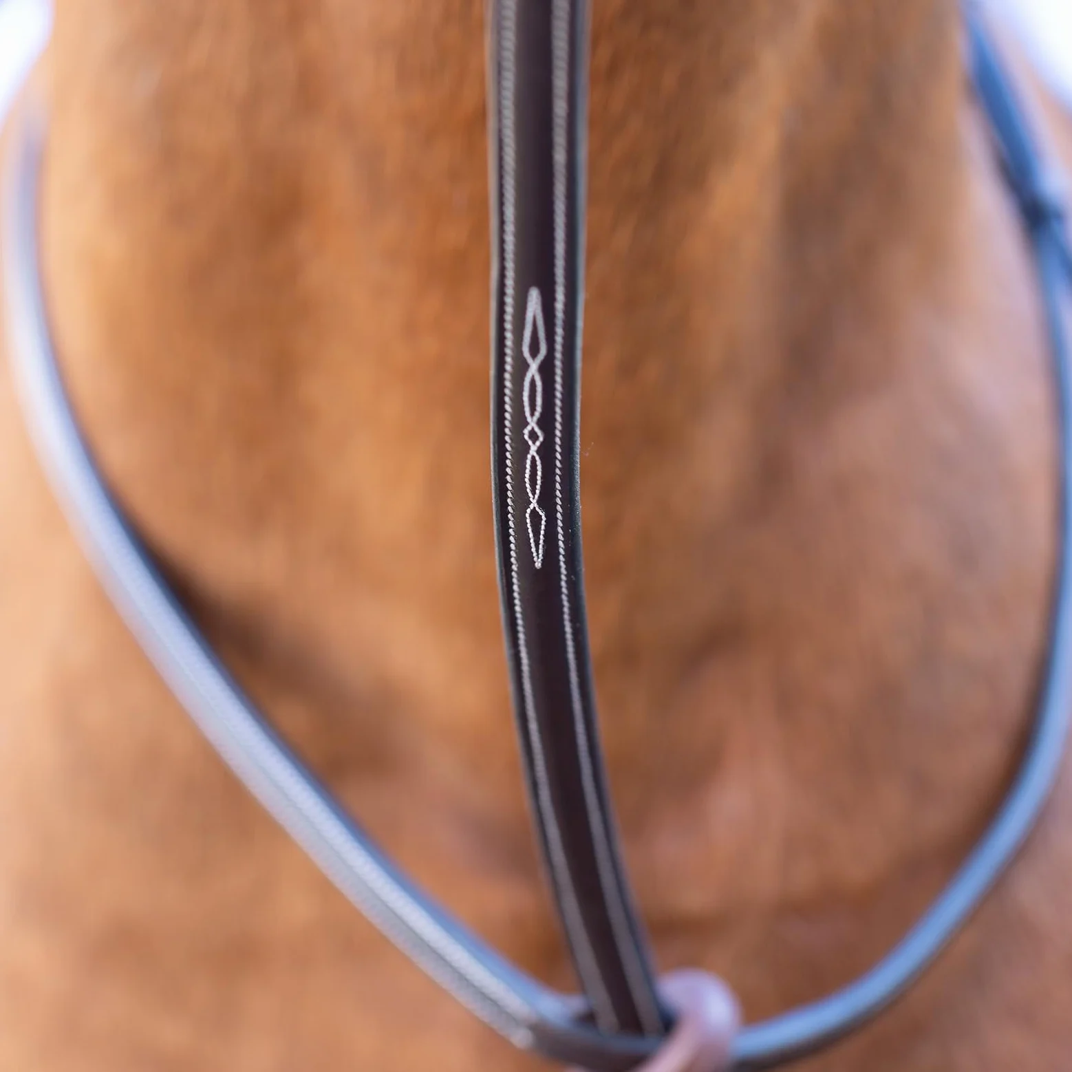 Equinavia Saga Martingala de pie ajustable de cuero con herrajes de acero inoxidable, marrón chocolate, mazorca