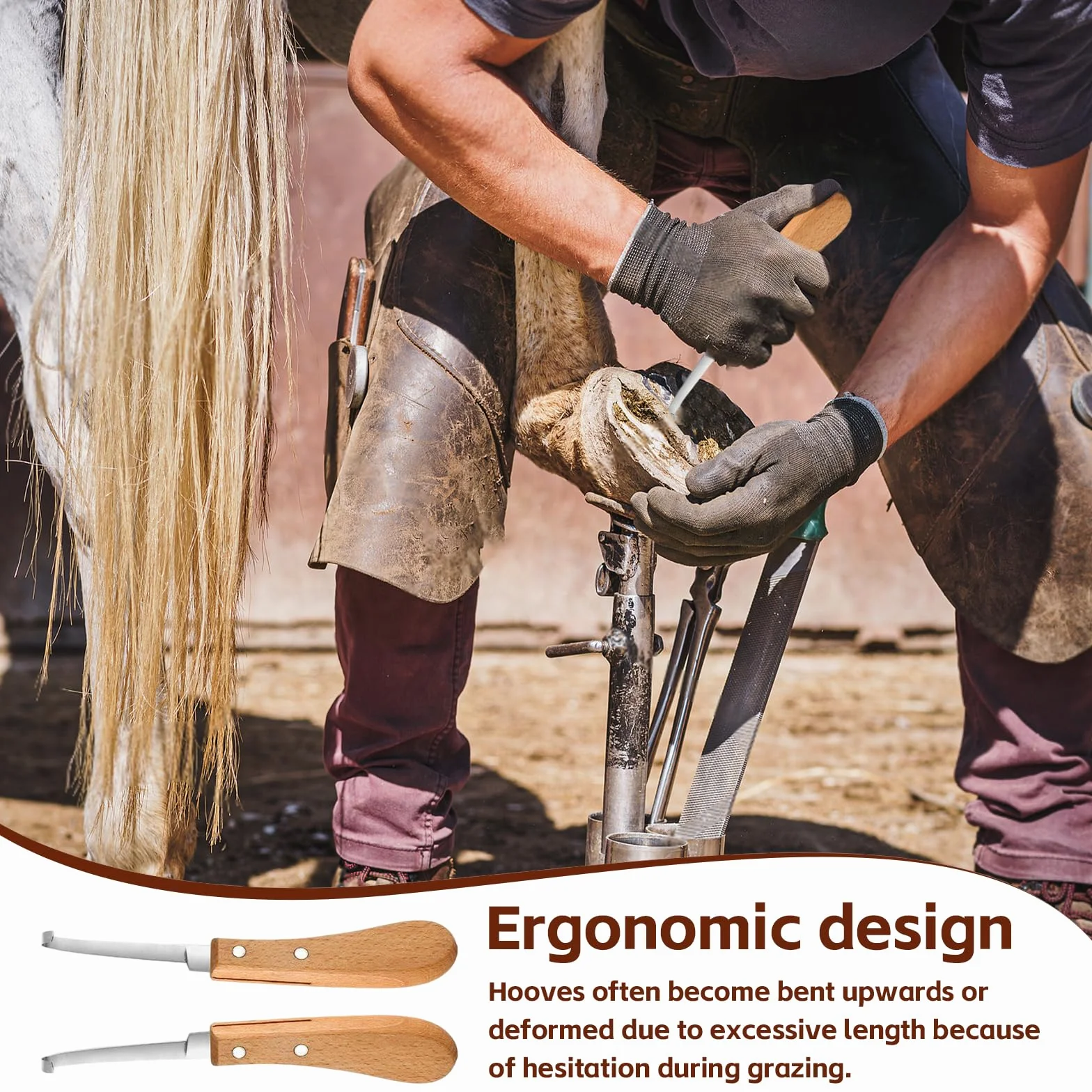 2 piezas Cuchillo para Pezuñas, 21.5 CM Cuidado de Los Cascos Acero Inoxidable Zurdos y Diestros, Herramientas para Recortar Pezuñas con Mango de Madera para Ganado Vacuno, Ovino y Equino