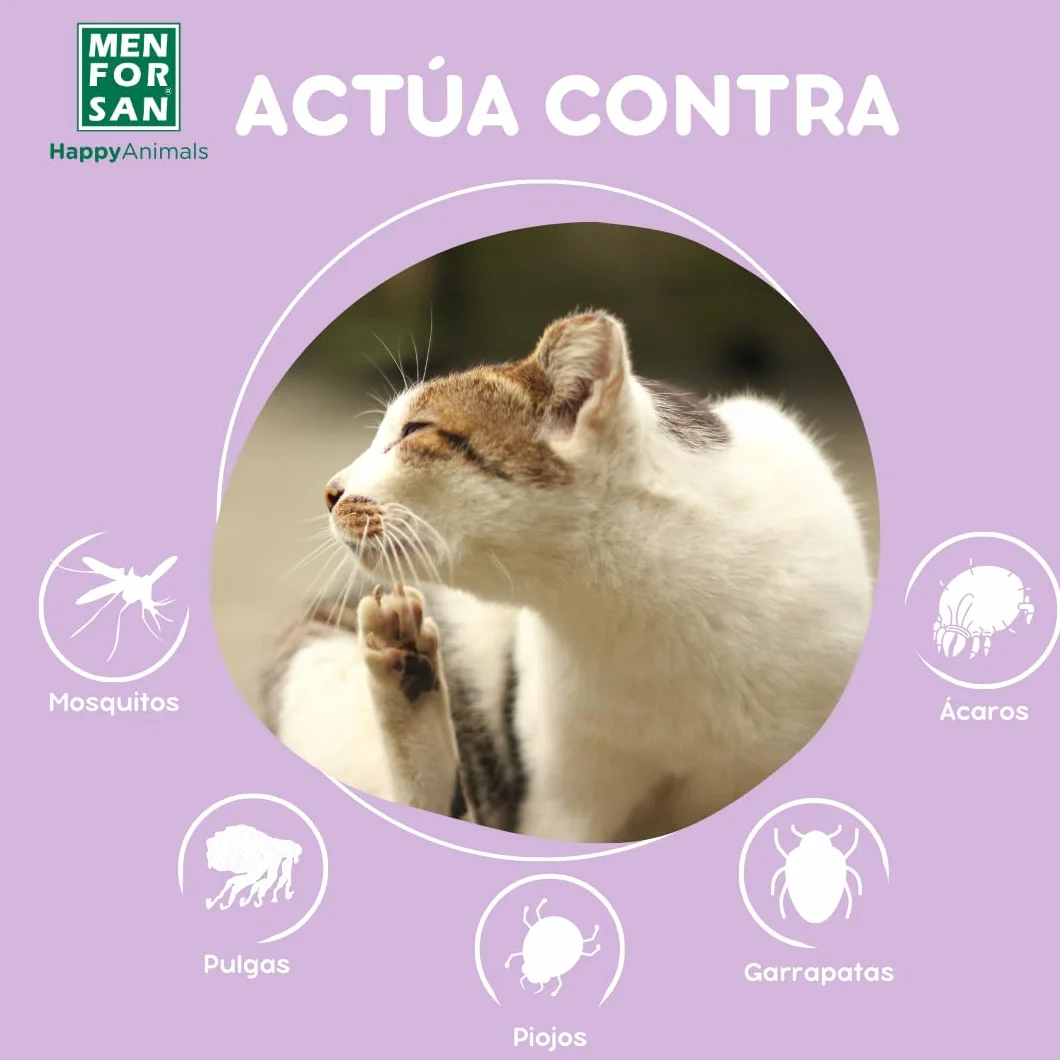 MENFORSAN Collar luminiscente Anti-Insectos para Gatos, con Tres repelentes Naturales Margosa, Geraniol y Lavandino, Cítrico, Verde, 30 cm
