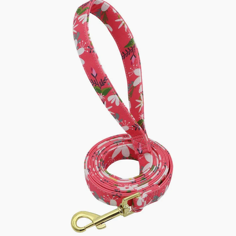 Correa para Perro con Estampado Floral, de Nailon, 150 cm, para Perros pequeños y medianos, Color Rojo, Correa de tracción para Cachorros (roja)