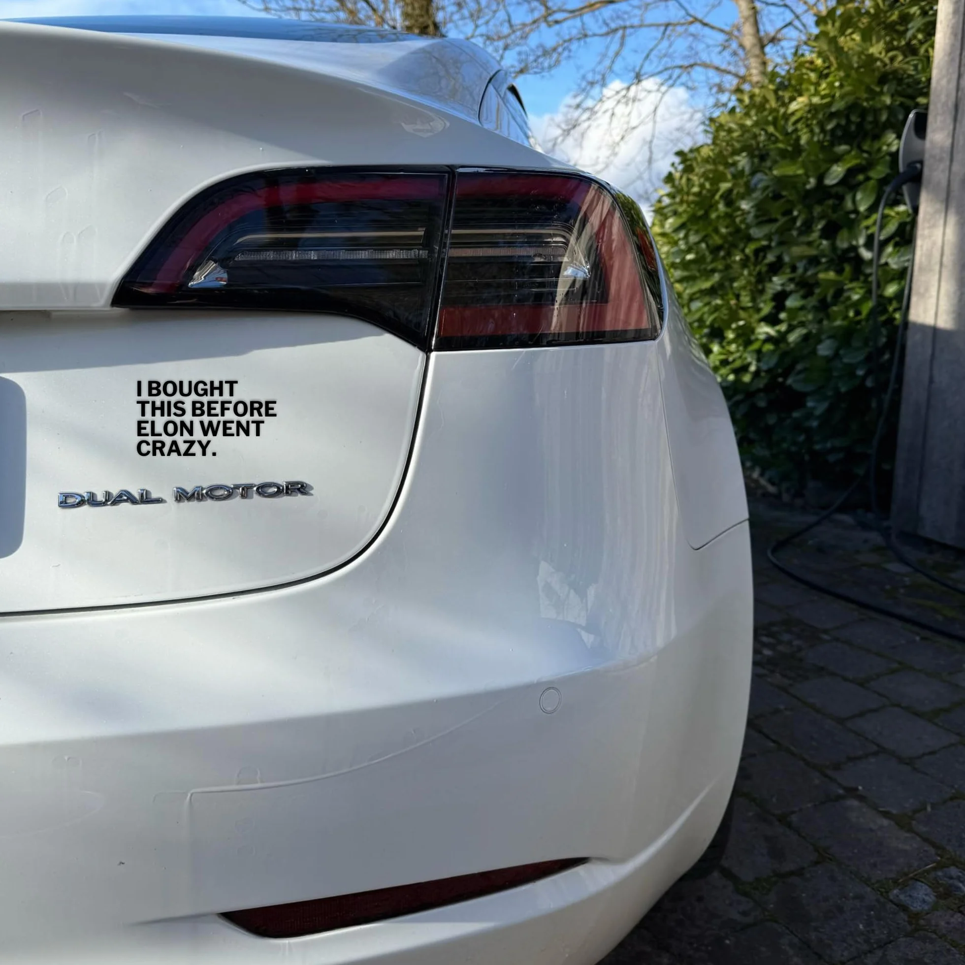 GreenWise Adhesivo de vinilo para coche diseño texto alemán I Booght THIS BEFORE ELON WENT CRAZY