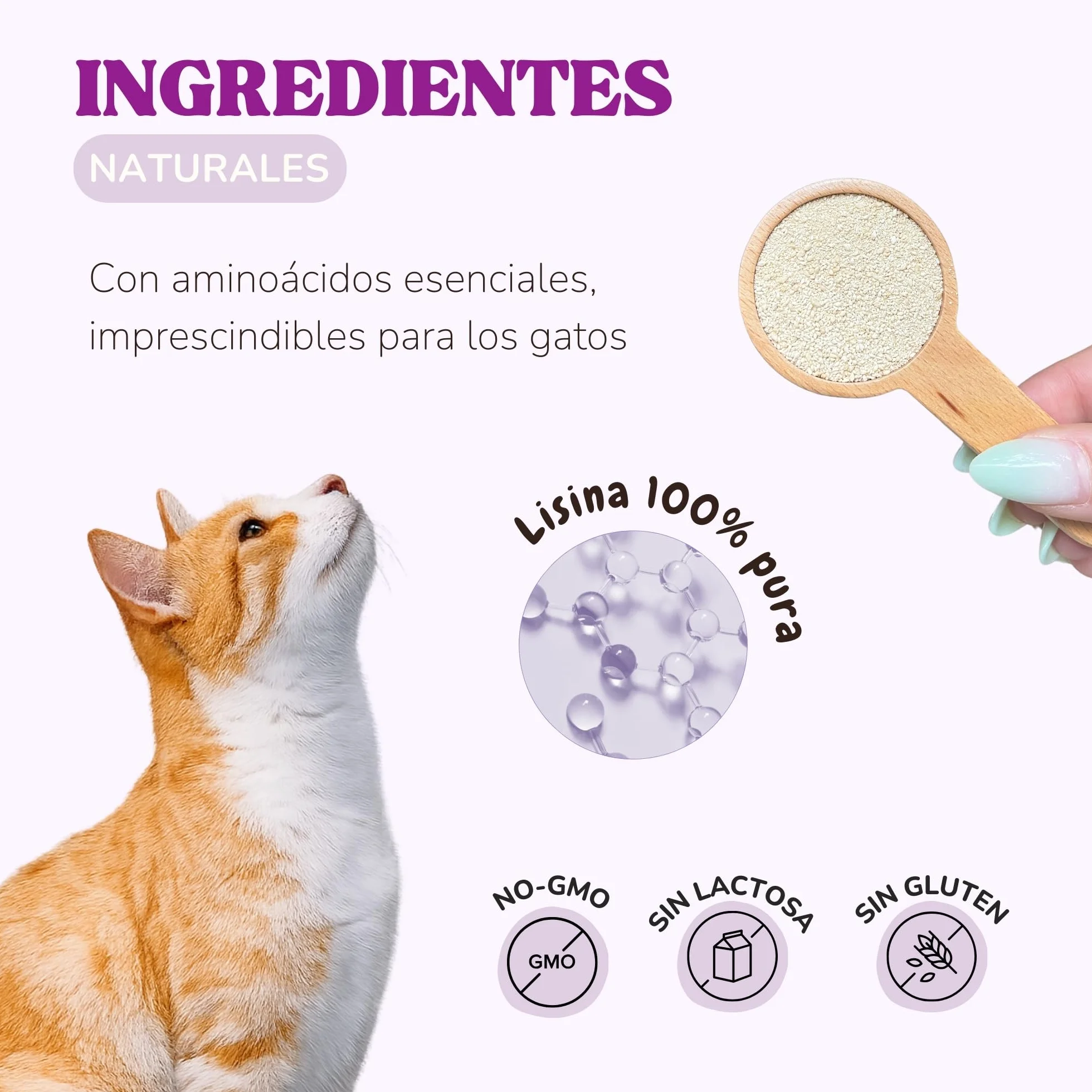 Lisina Gatos con Aminoácidos Esenciales para Reforzar el Sistema Inmunitario, Apoyar Las Vías Respiratorias y Prevenir el Herpes Felino, Suplemento Natural para Todas Las Razas y Edades