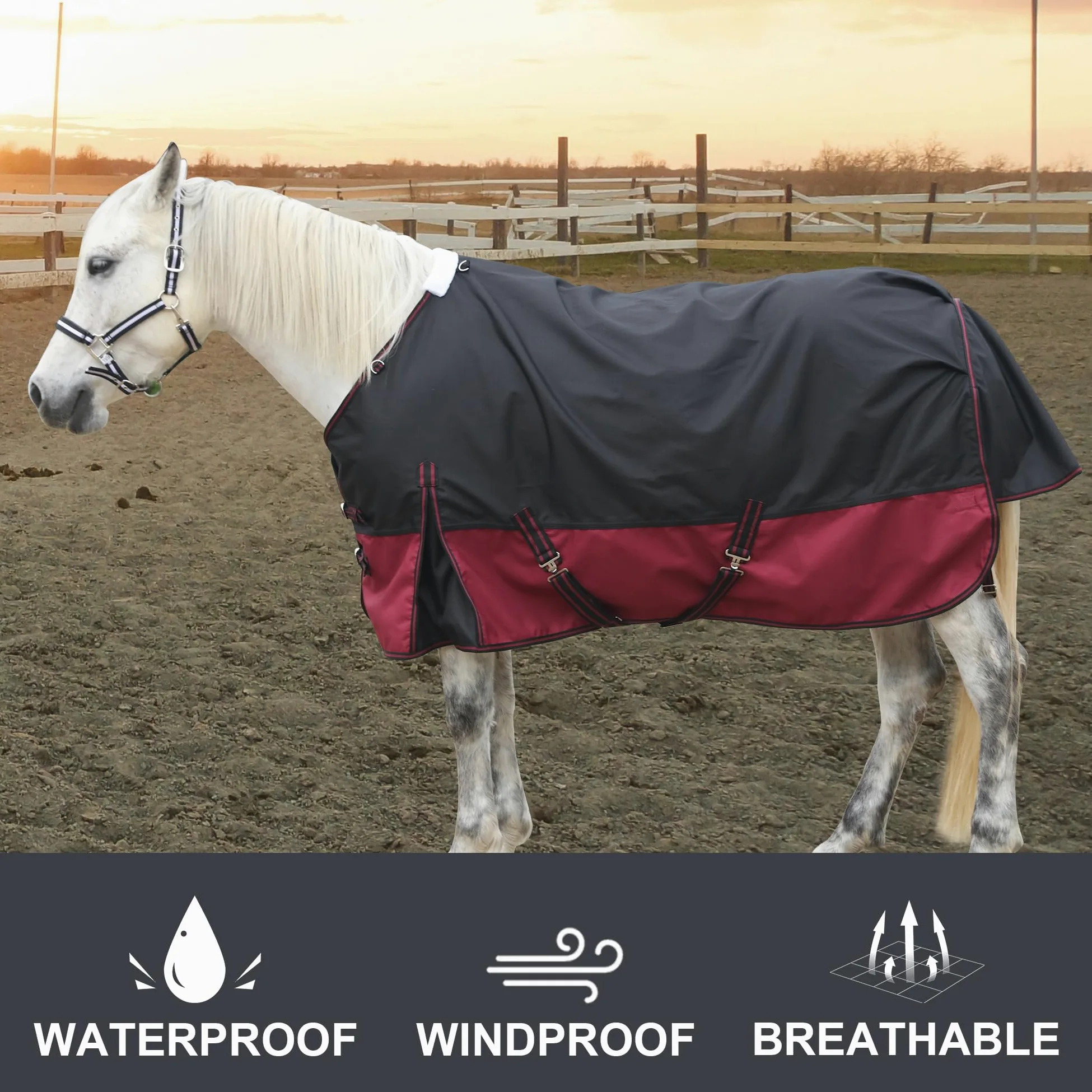 Leberna Alfombra impermeable 1200D para caballos, ligera, antidesgarros, transpirable, con cuello estándar, sin relleno (negro y rojo, 6 pies 6 pulgadas)