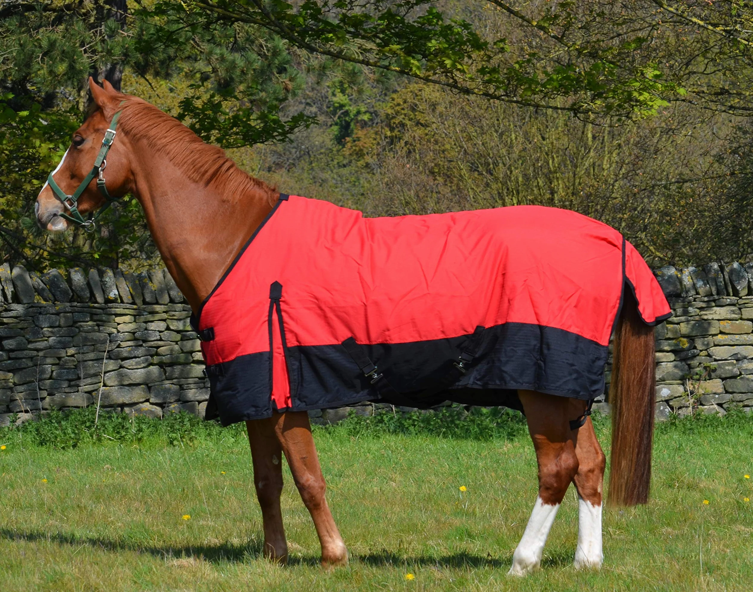 Alfombra impermeable de peso ligero 600d para caballo, relleno de 100 g