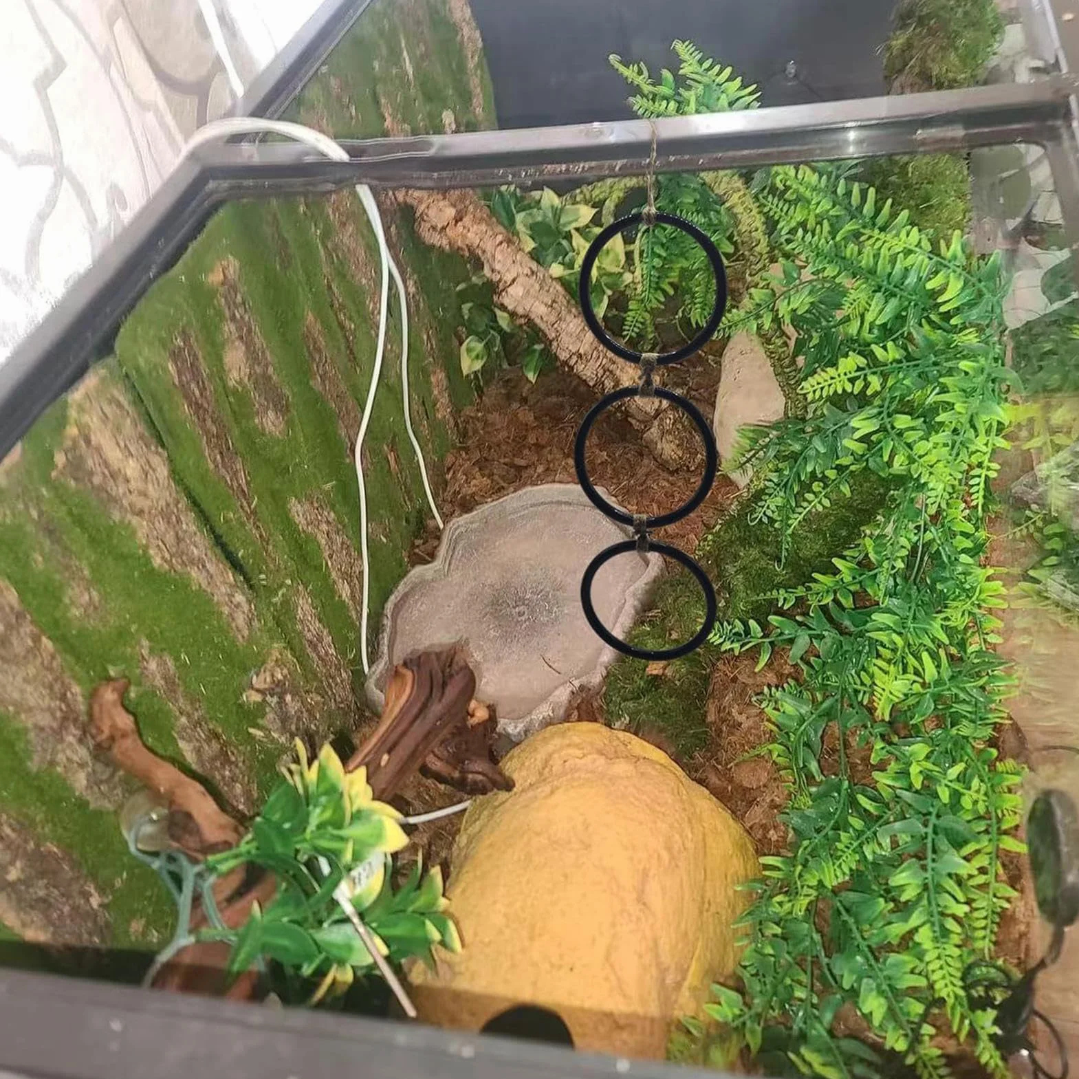Juguetes De Enriquecimiento para Serpientes - Accesorios para Hábitat De Reptiles,con Aro Y Cadena Juego Interactivo para Anfibios Y Hábitat Interior para Mascotas