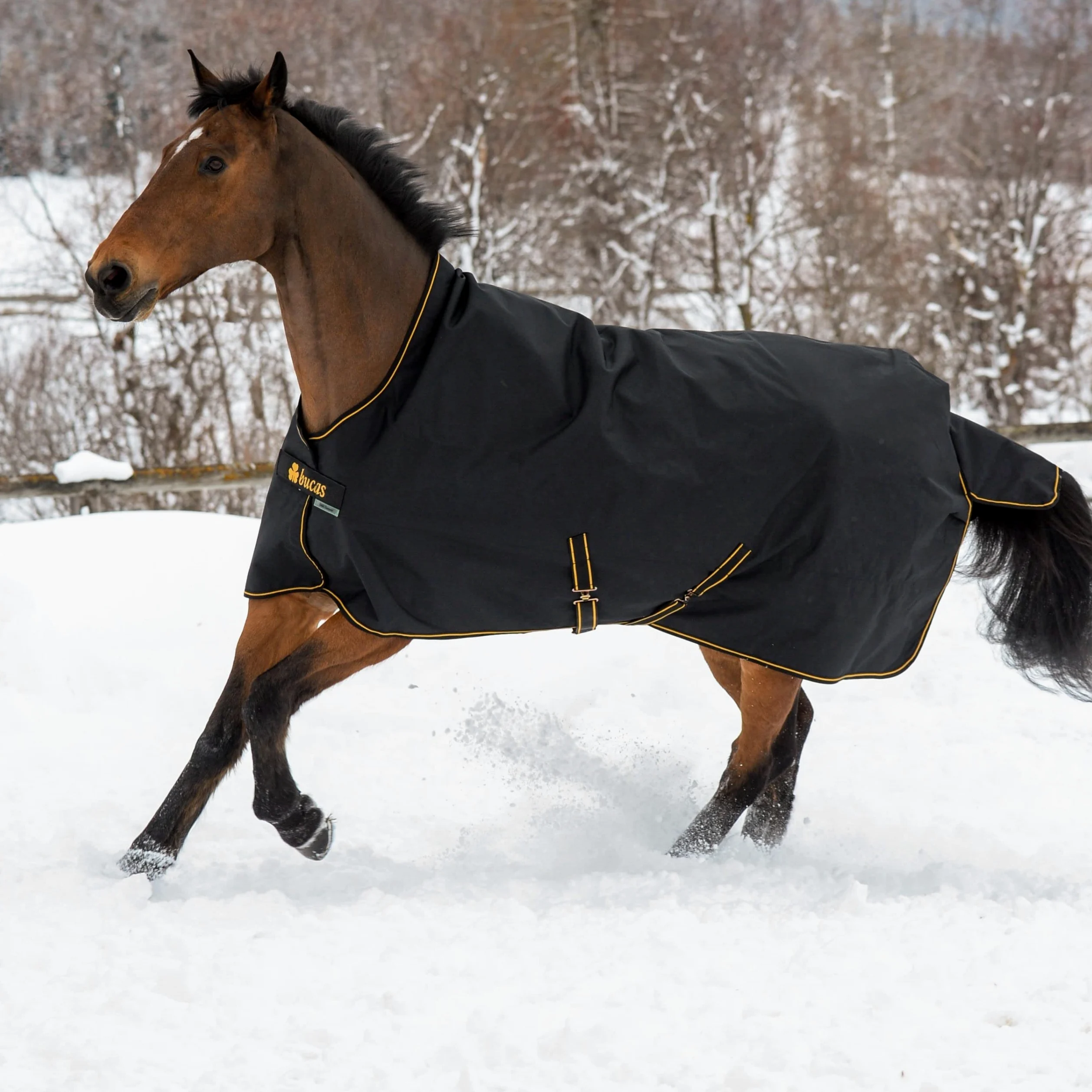 Bucas IrishTurnout - Manta para Caballo, 300 g, 165 SW/Gold
