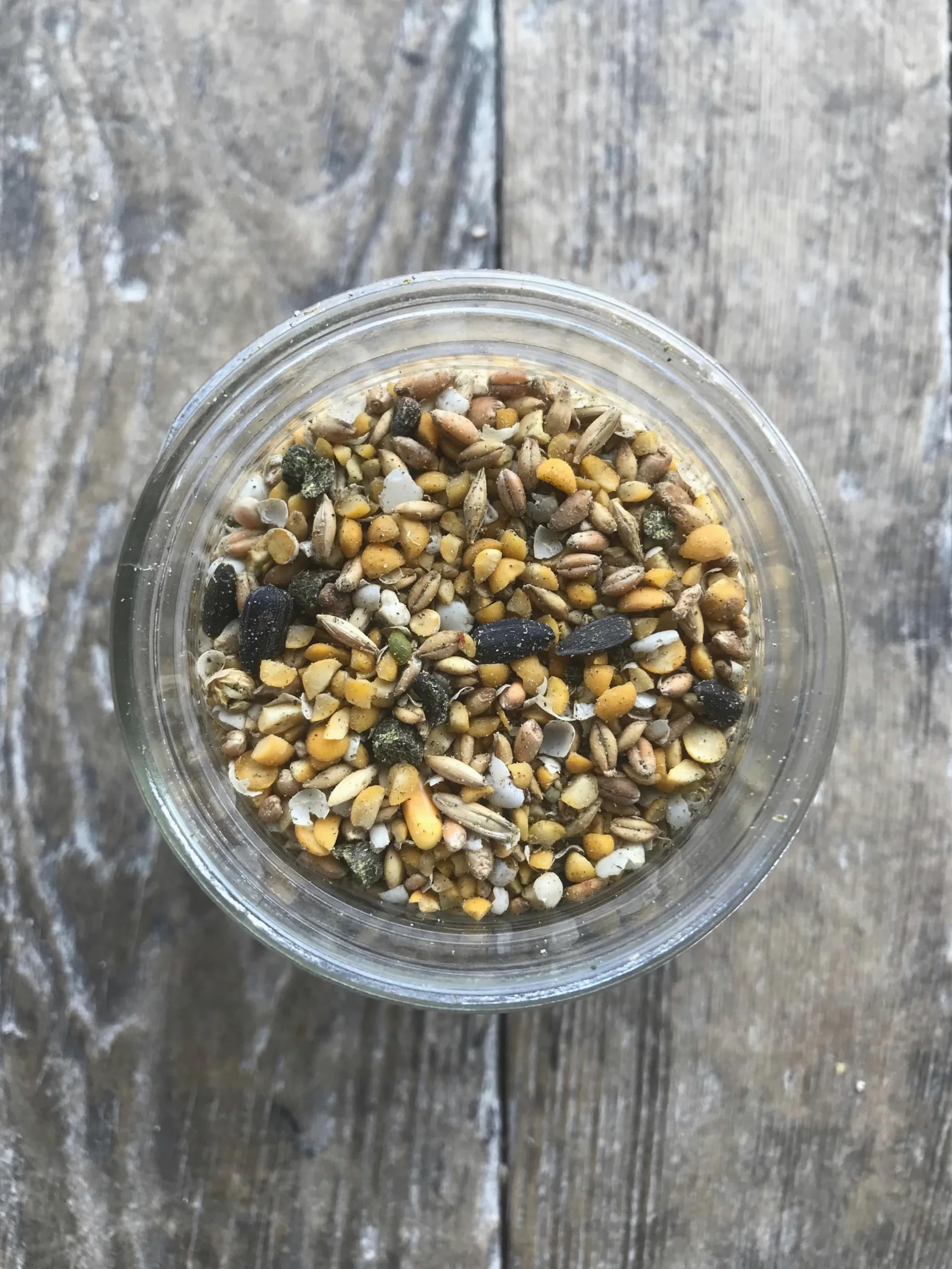 Alimento Integral para Gallinas Ponedoras Y Patos, Sin Soja Ni Maíz, Sin OMG (16%) - Incluye Aceites Esenciales, Hierbas, Conchas De Ostras, Minerales Vitales Y Omega 3, 4.5 Kg