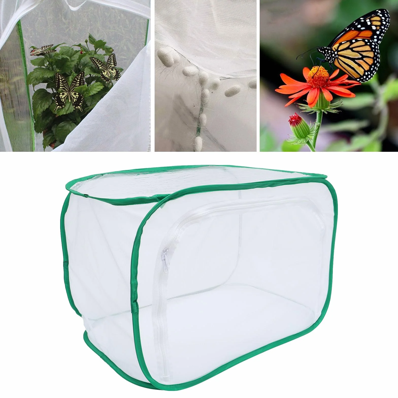Jaula Plegable para Mariposas 40x40x60 Cm Malla Transpirable para Incubadora de Plantas y Hábitat Insectos, Caja Protectora para Mascotas y Cultivo de Plántulas