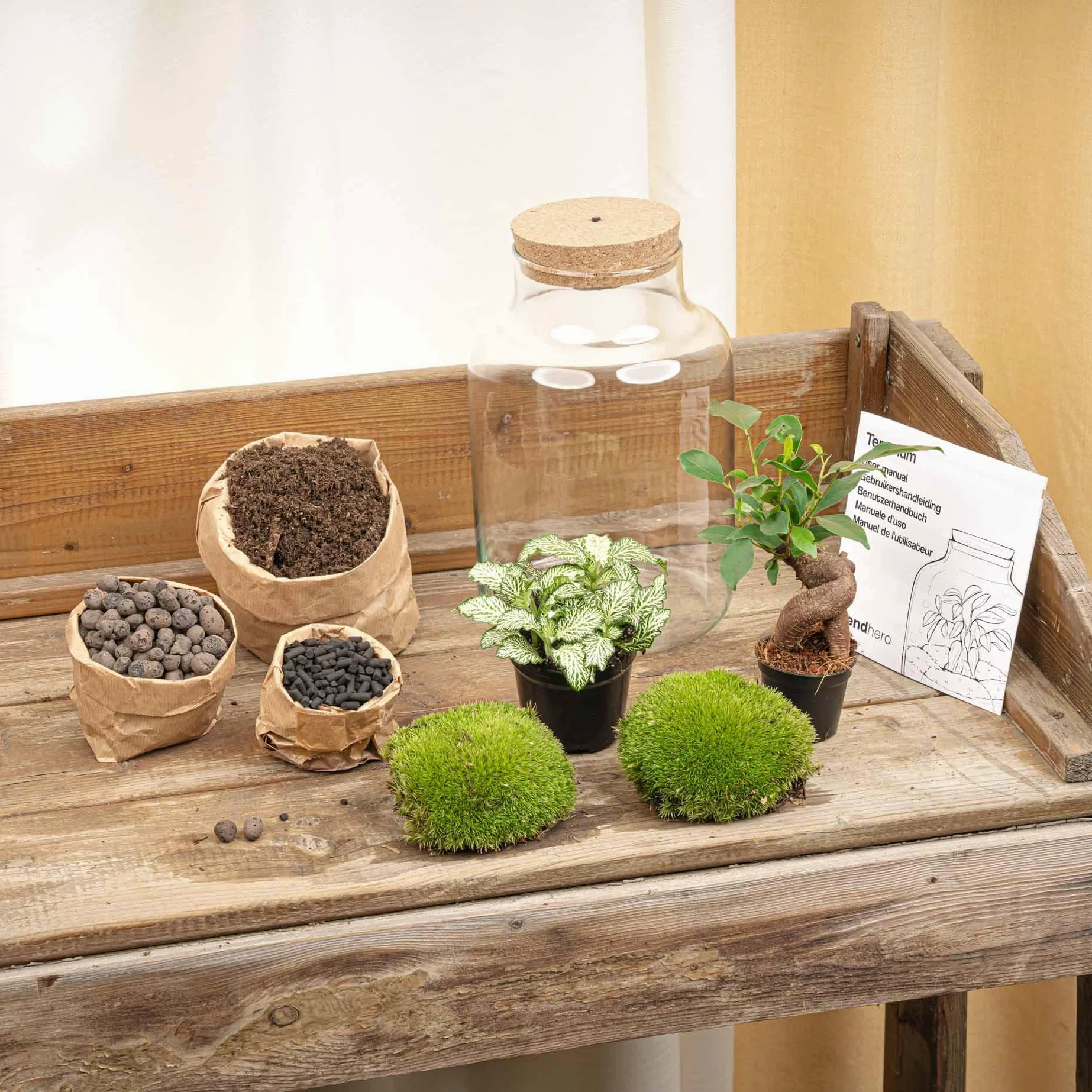 Terrario DIY con Luz LED, Cristal, Decoración del Hogar, Ø 17 x 25 cm