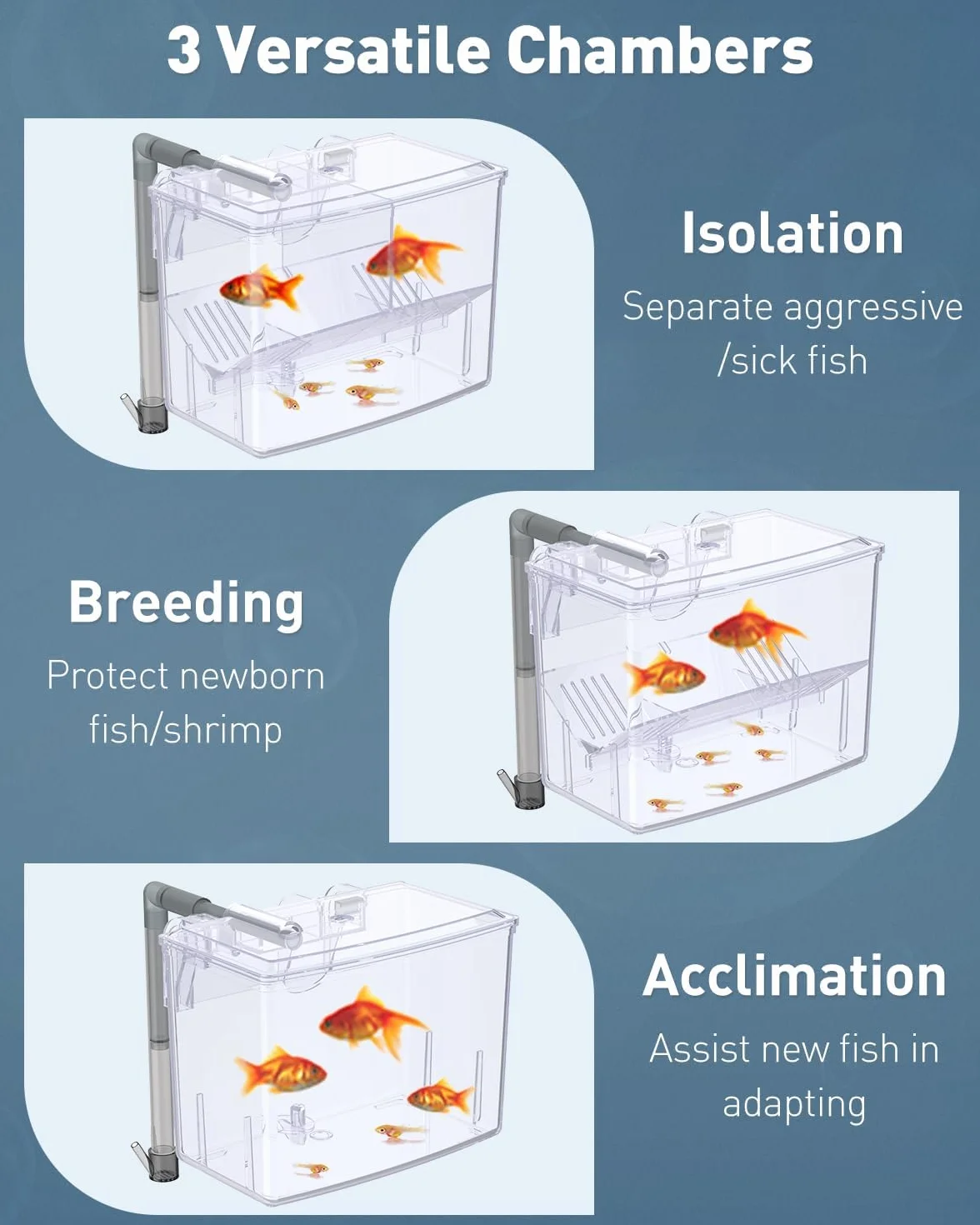 Pawfly Incubadora de Peces acrílico, criadero para alevines, camarones, Betta, pez Payaso, Caja de Aislamiento para Peces