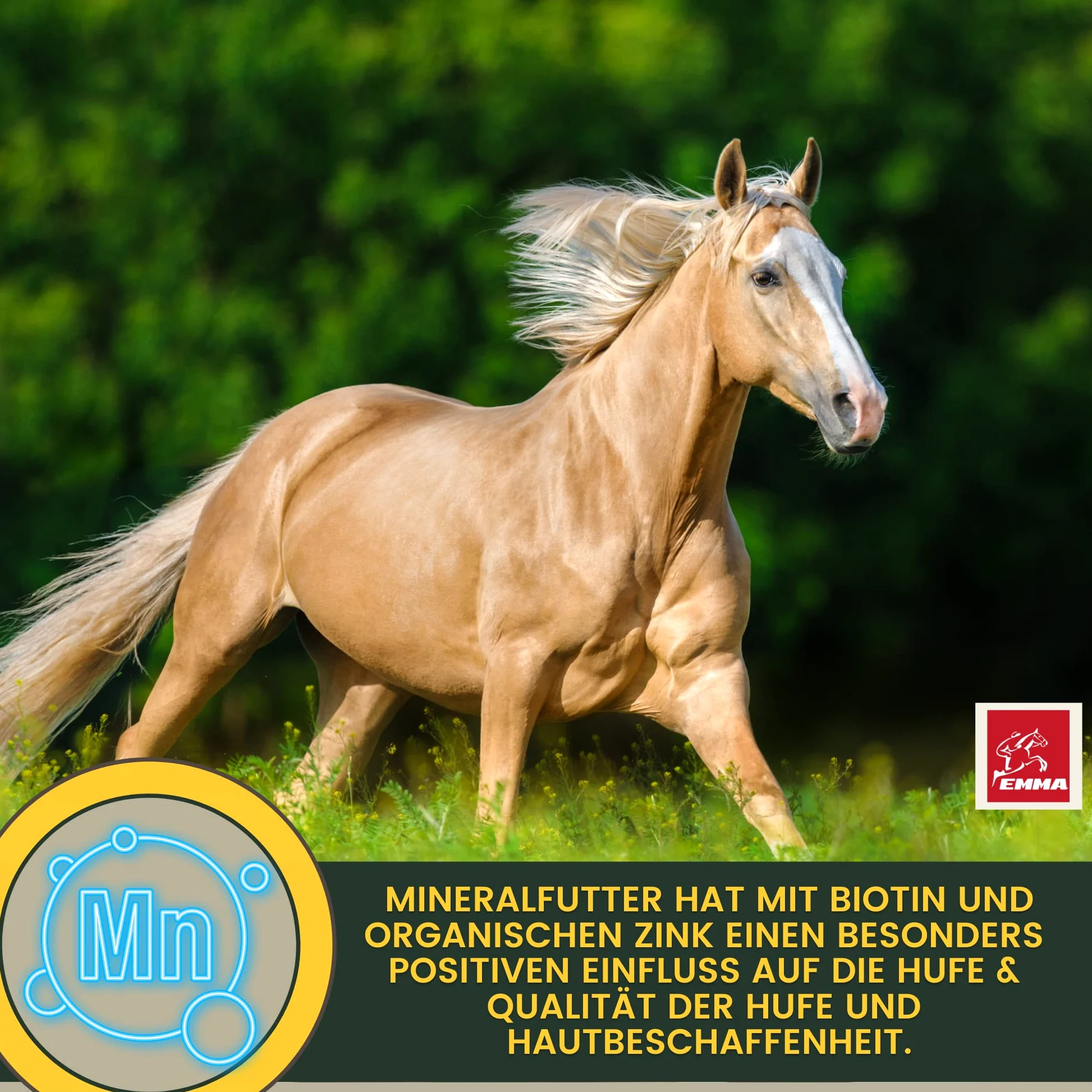 EMMA Alimento mineral y biotina para caballos – Biotin Zinc Pellets para pezuñas, piel y pelo • Minerales con zinc, selenio, magnesio, levadura de cerveza y vitaminas para el crecimiento de pezuñas