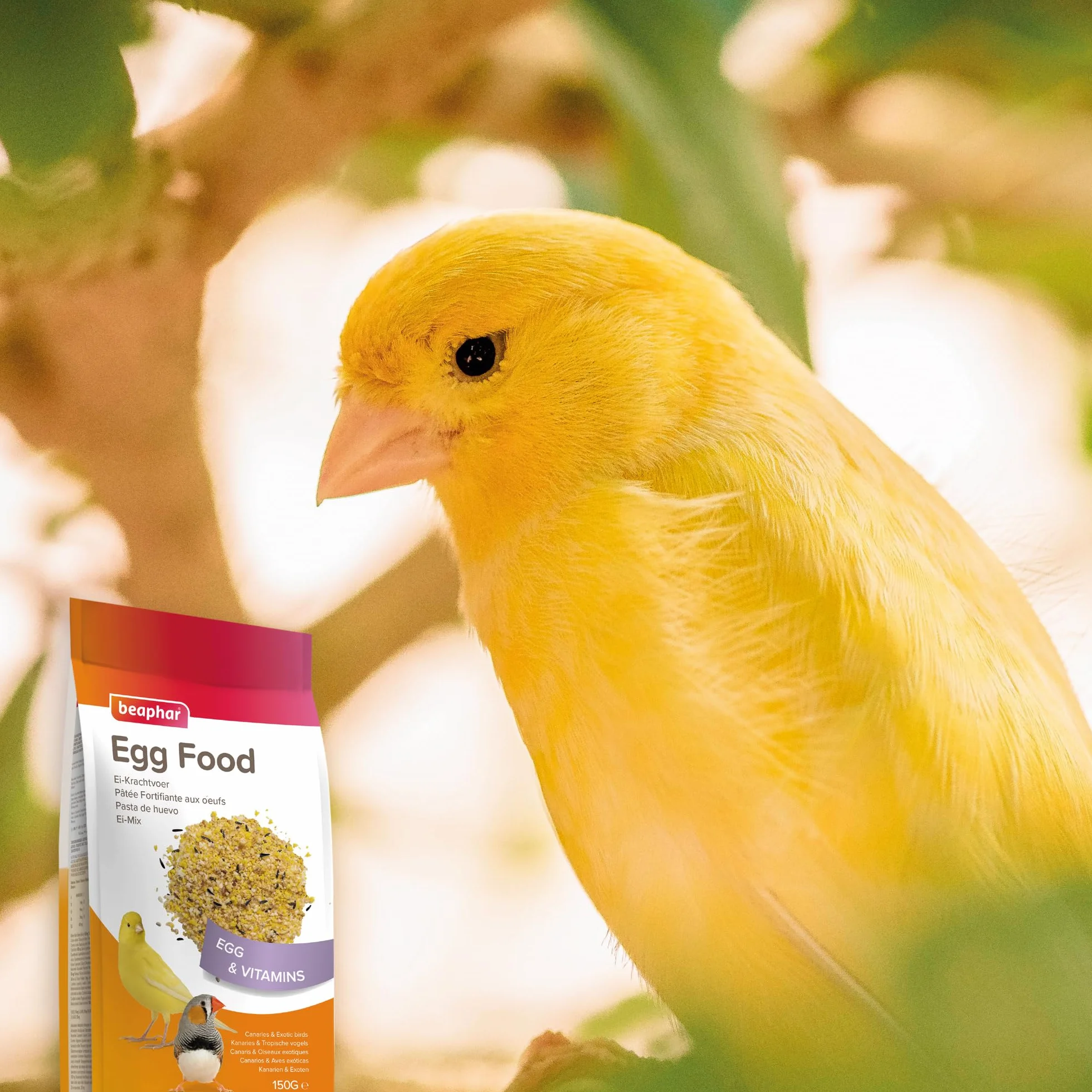 Beaphar Pasta de Huevo para Canarios y Aves Exóticas - 150g