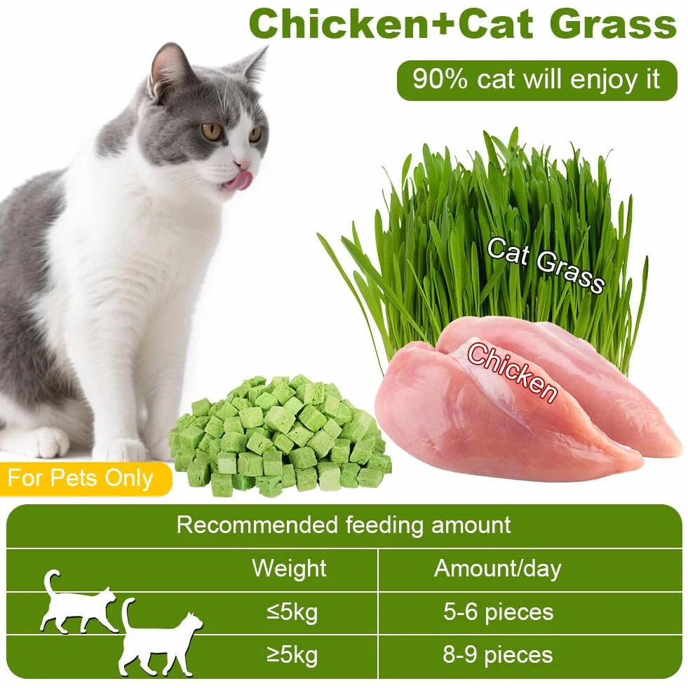 OSDUE Golosina de Hierba Gatera para Gatos, 100g Snack Liofilizado con Hierba Gatera para Limpiar los Dientes, Palillo Masticable para Gatos Favorecer Digestión y Absorción, Cat Grass Teething Stick