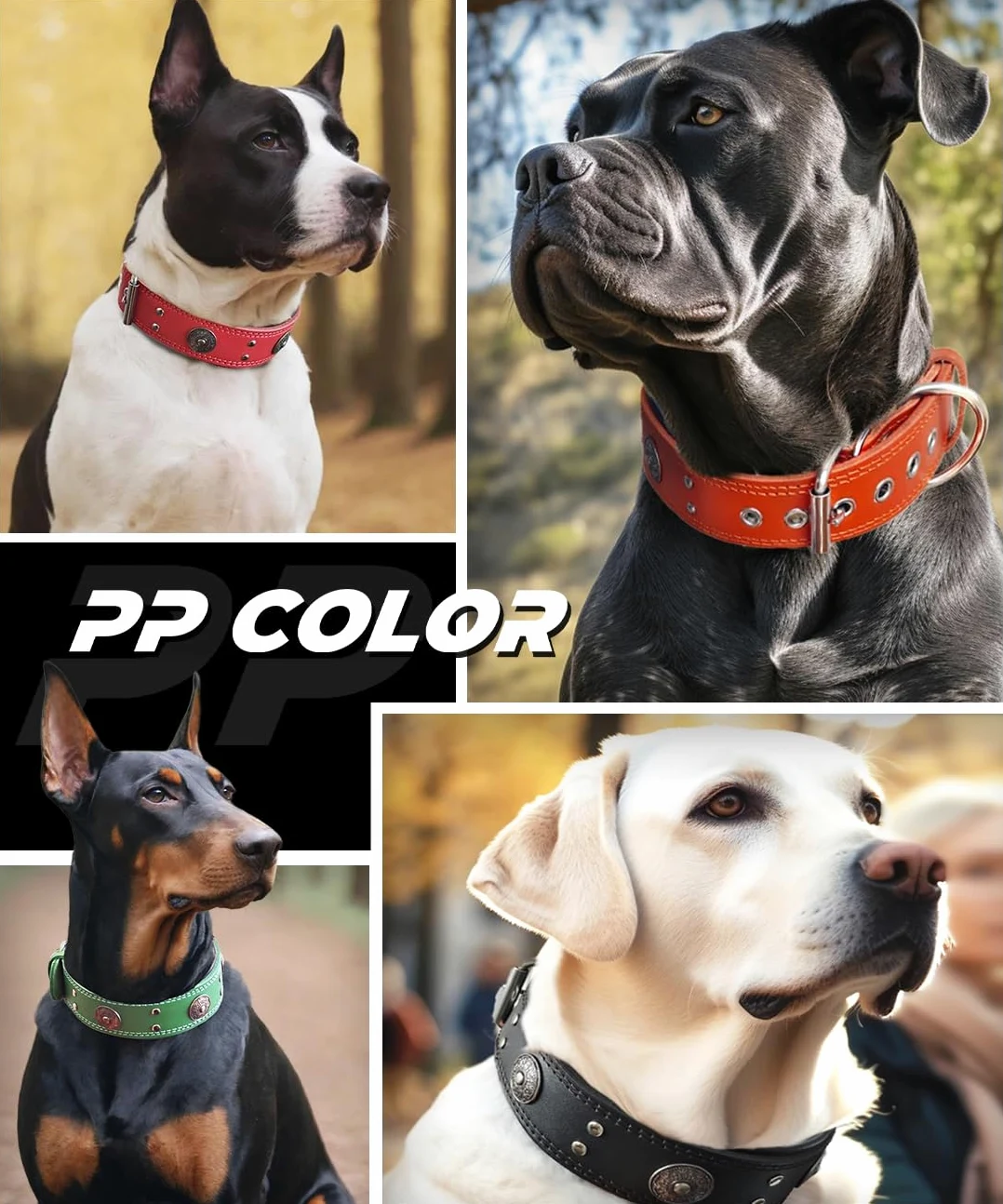 Collar de Cuero para Perro, Collares de Cuero Genuino Resistente de 5 cm de Ancho, Hecho a Mano, Suave y Lujoso, la Mejor opción para Perros de Raza Grande y Media, Color Verde, 22.5-26.5 Pulgadas