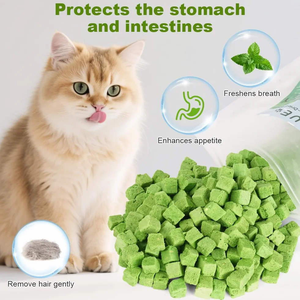 OSDUE Golosina de Hierba Gatera para Gatos, 100g Snack Liofilizado con Hierba Gatera para Limpiar los Dientes, Palillo Masticable para Gatos Favorecer Digestión y Absorción, Cat Grass Teething Stick