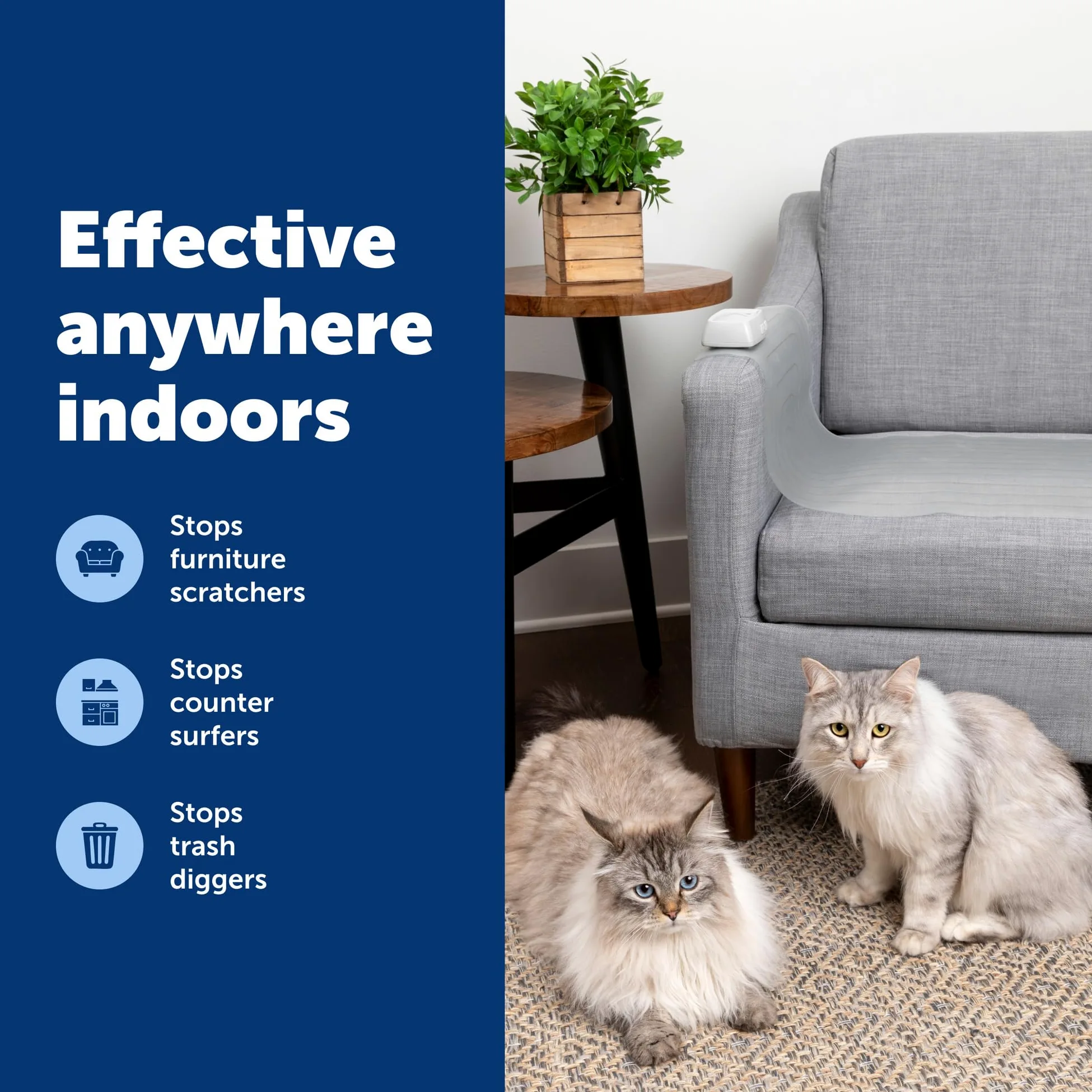 PetSafe ScatMat - Alfombrilla de entrenamiento para interiores