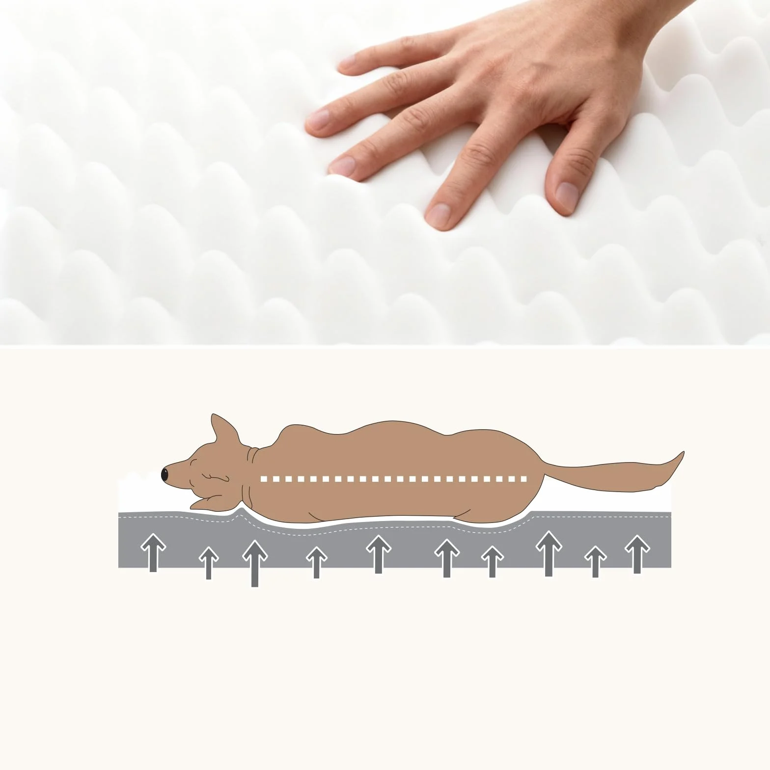WAVVE Cama Perro Extra Grande Ortopédica 112x81x7.6 cm, Colchon Perro Desenfundable Impermeable Lavable Irrompible, Cama Can con Espuma De Caja De Huevos, Dog Bed XL, Gris