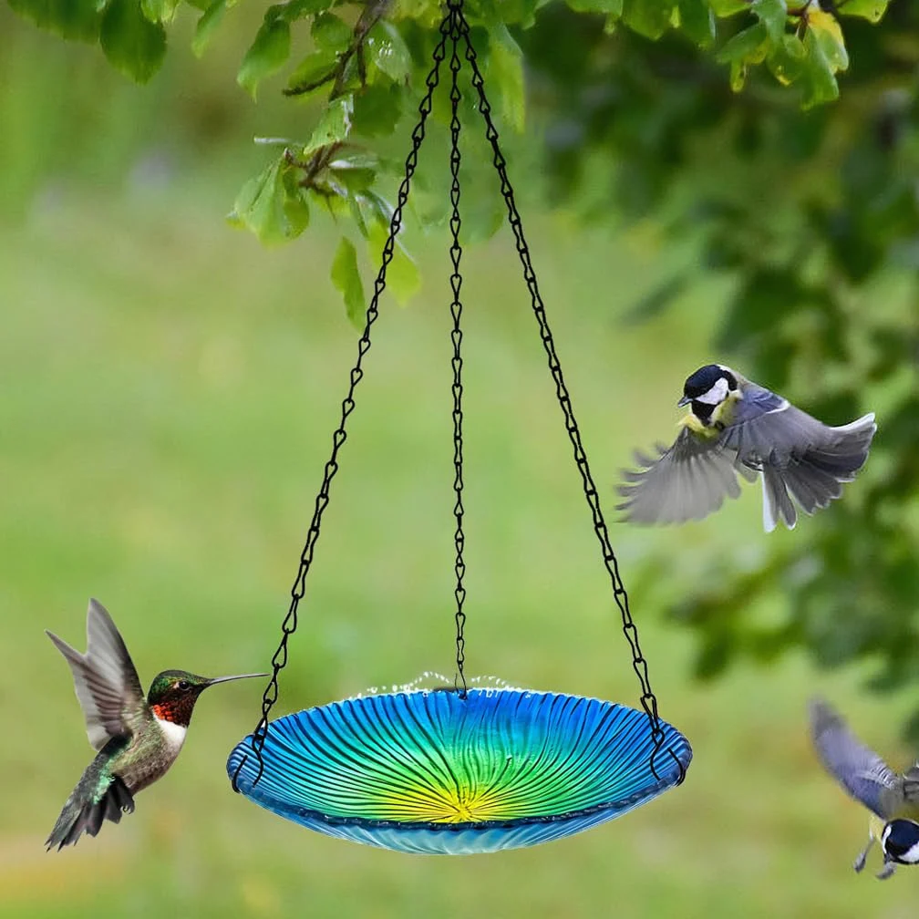 Genérico Comedero Colte De Cristal para Pájaros, Multifuncional para Comida, Agua Y Baño, 26,6 Cm, Decoración para Jardín Y Patio, cho Ligero Y Fácil De Limpiar