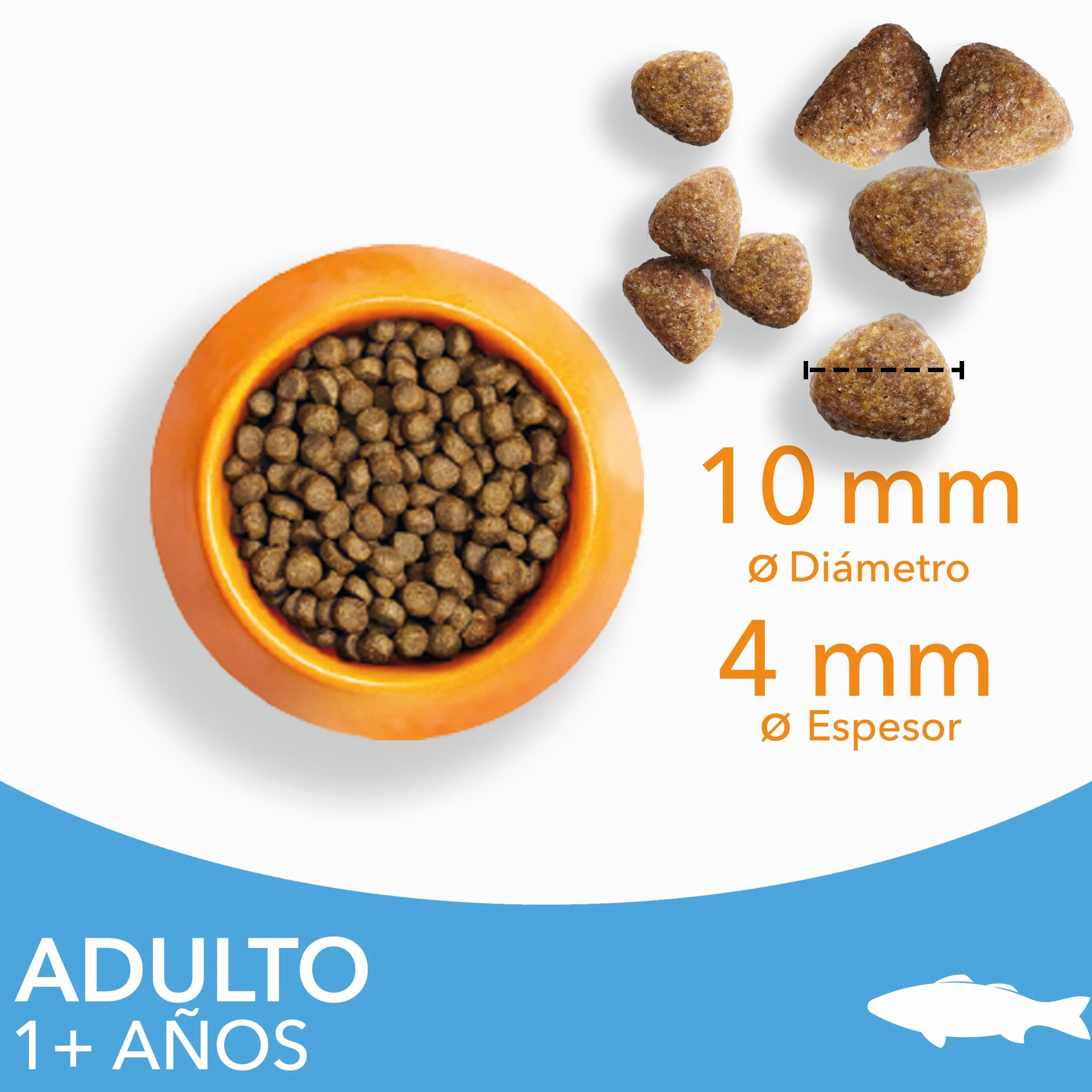 IAMS Alimento seco para Gatos con Pescado oceánico, Comida Seca para Gatos Adultos de más de 1 año, 3 kg