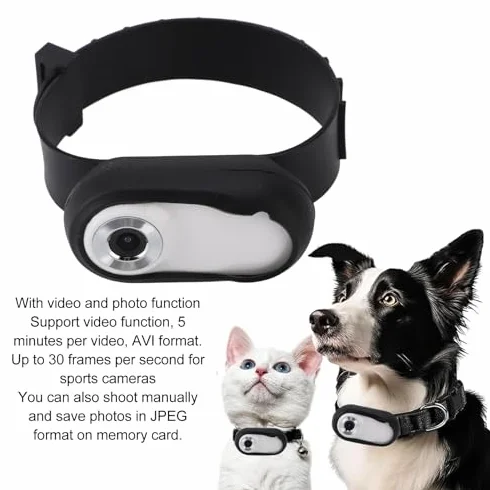 Cámara para Collar de Mascotas HD 1080P, Pantalla LCD de 0,96 Pulgadas, Vídeo de 5 Minutos, para Gatos y Perros, Material ABS