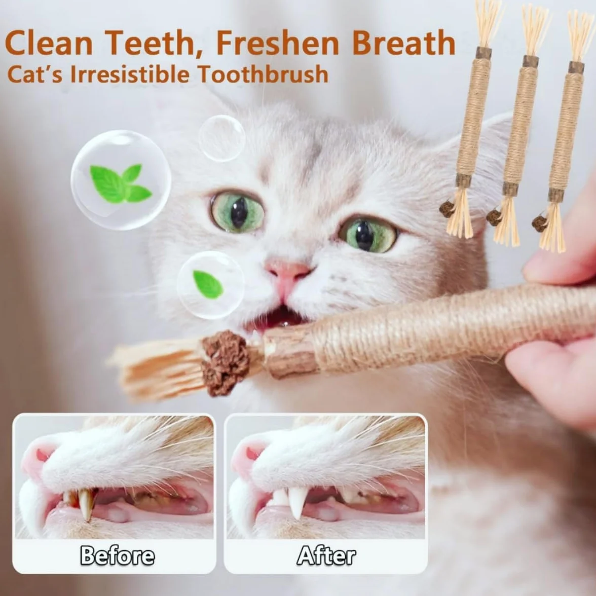 Juguetes para Masticar para Gatos,6 Piezas Palitos Masticables Naturales,para Limpieza Dental e Higiene Bucal,Juguetes Interactivos para Gatitos y Gatos Adultos