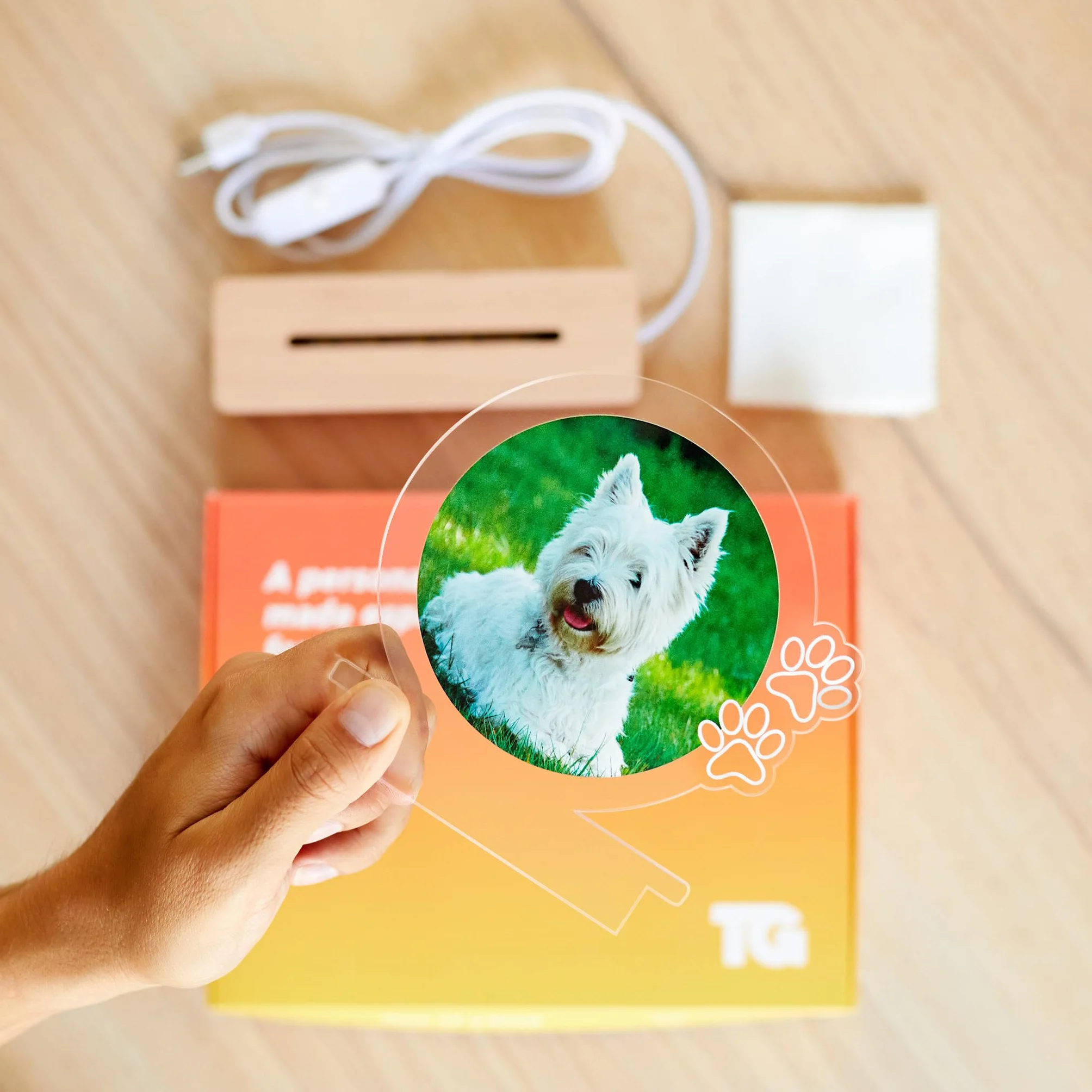 Transparent Gift Lámpara Personalizada con Foto de Mascota y Huellas. Regalos Originales y Personalizados para Amantes de los Animales. Placas Conmemorativas para Mascotas. Placa Luminosa Metacrilato