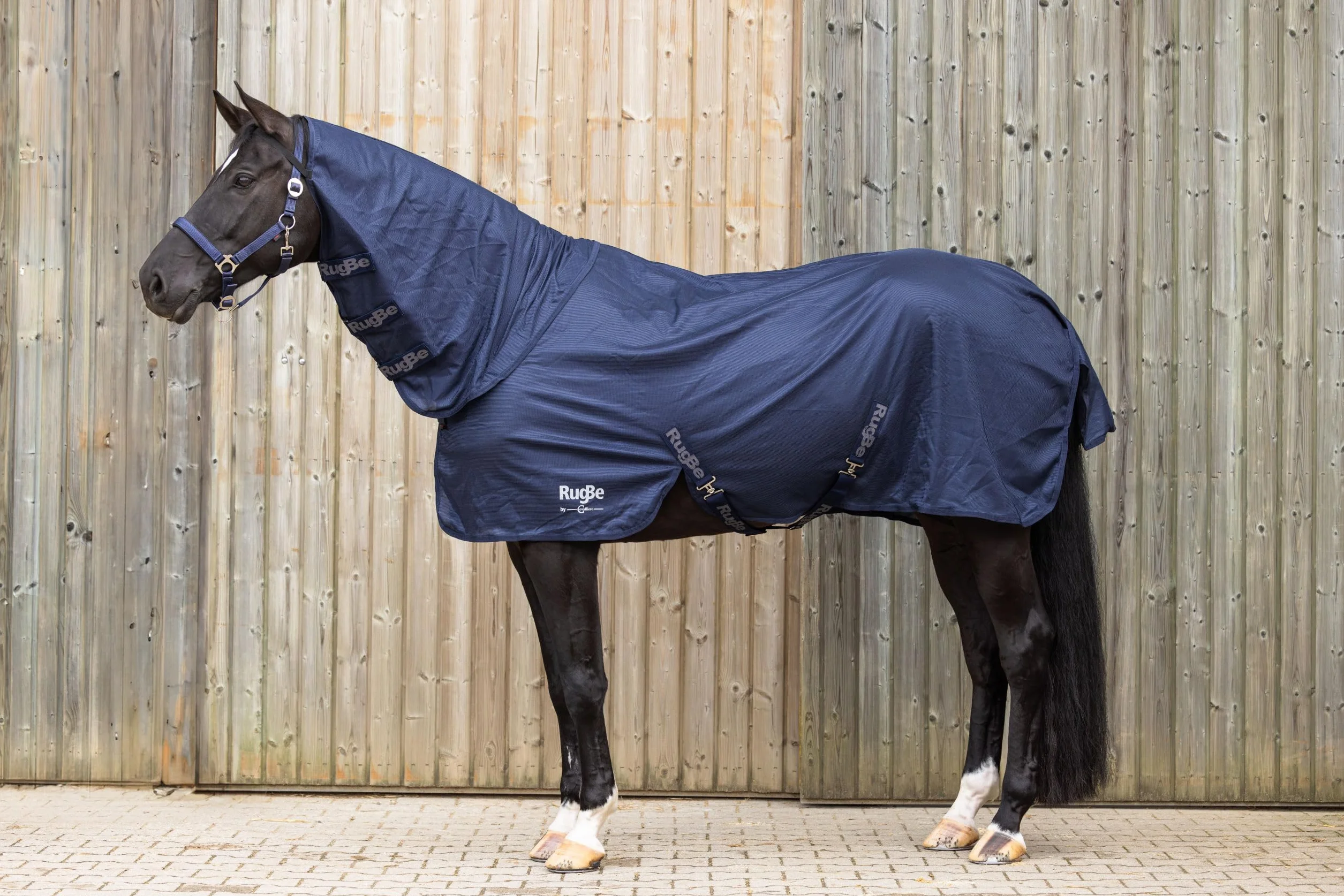 Covalliero Manta antimoscas RugBe SuperFly, manta para caballos, manta de montar, azul marino, 115 cm, 165 cm, caballo, lavable a máquina a 30 °C