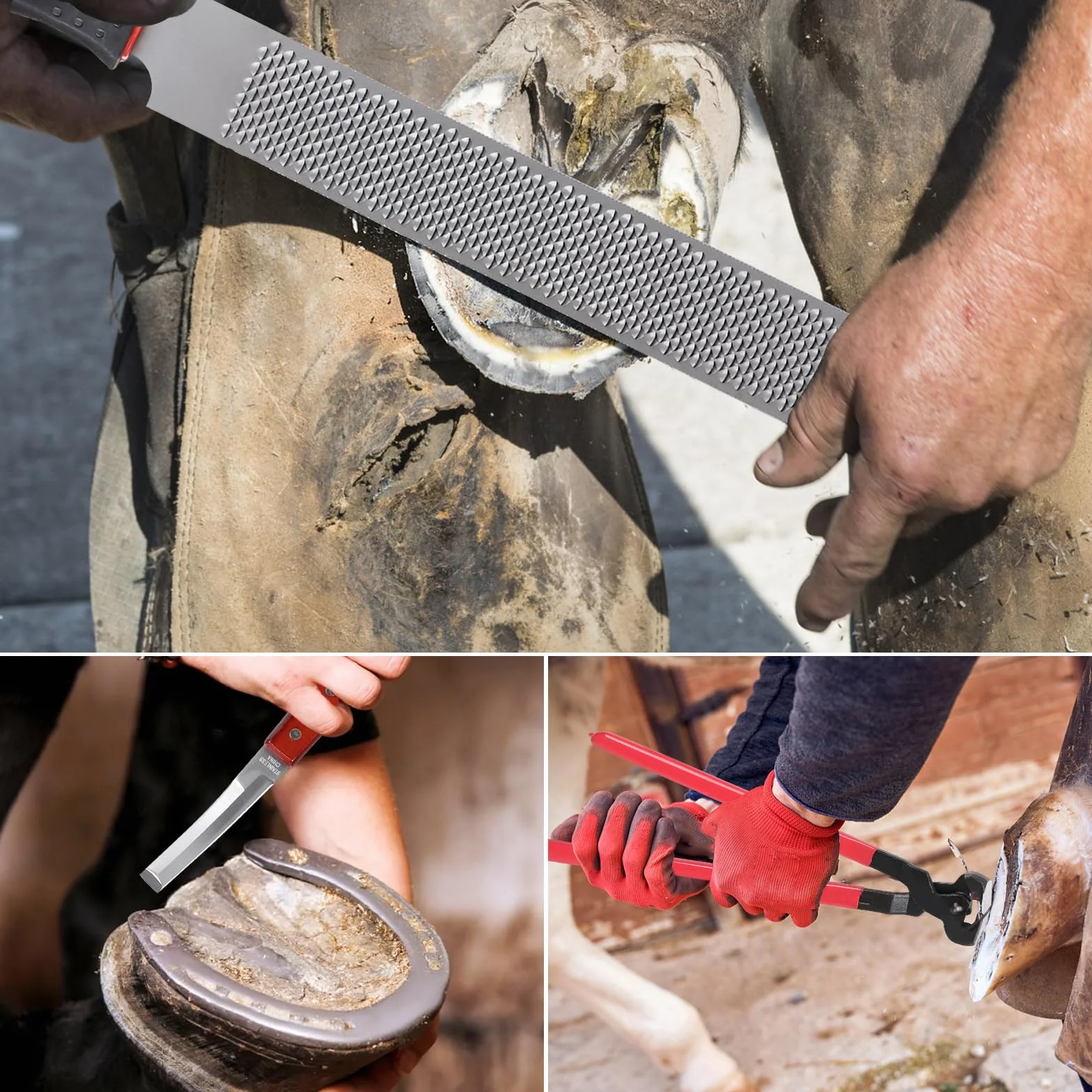 LALAGO Kit de Herramientas Profesionales para Recorte de Casco de Caballo de 4 Piezas, Cuchillo para Casco, Cortador de Casco, Raspador de Casco con Mango de Goma, Guantes
