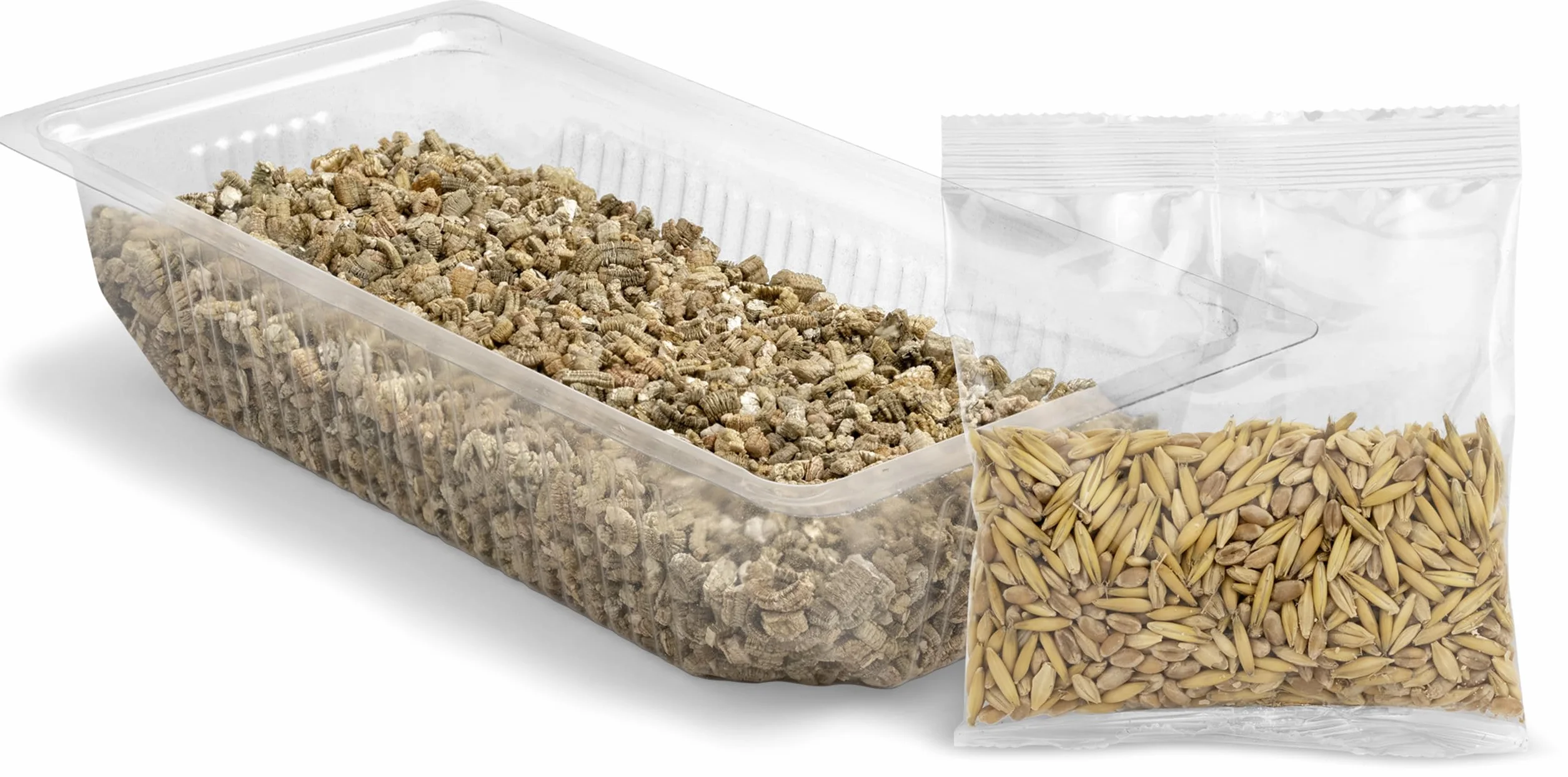 Vitakraft Cat Grass, Mezcla de Semillas de Hierba para Gatos, con vitaminas y minerales (1x 120g)