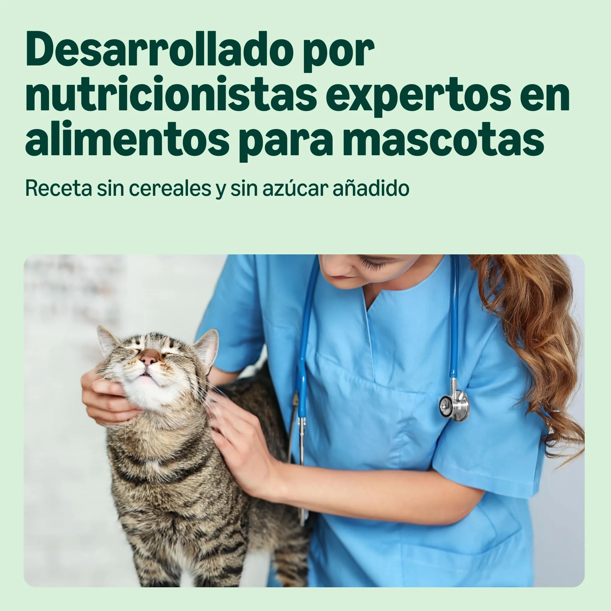by Amazon - Comida húmeda sin cereales para gatos - Lata - Trozos de pollo en gelatina, 12 x 405 g
