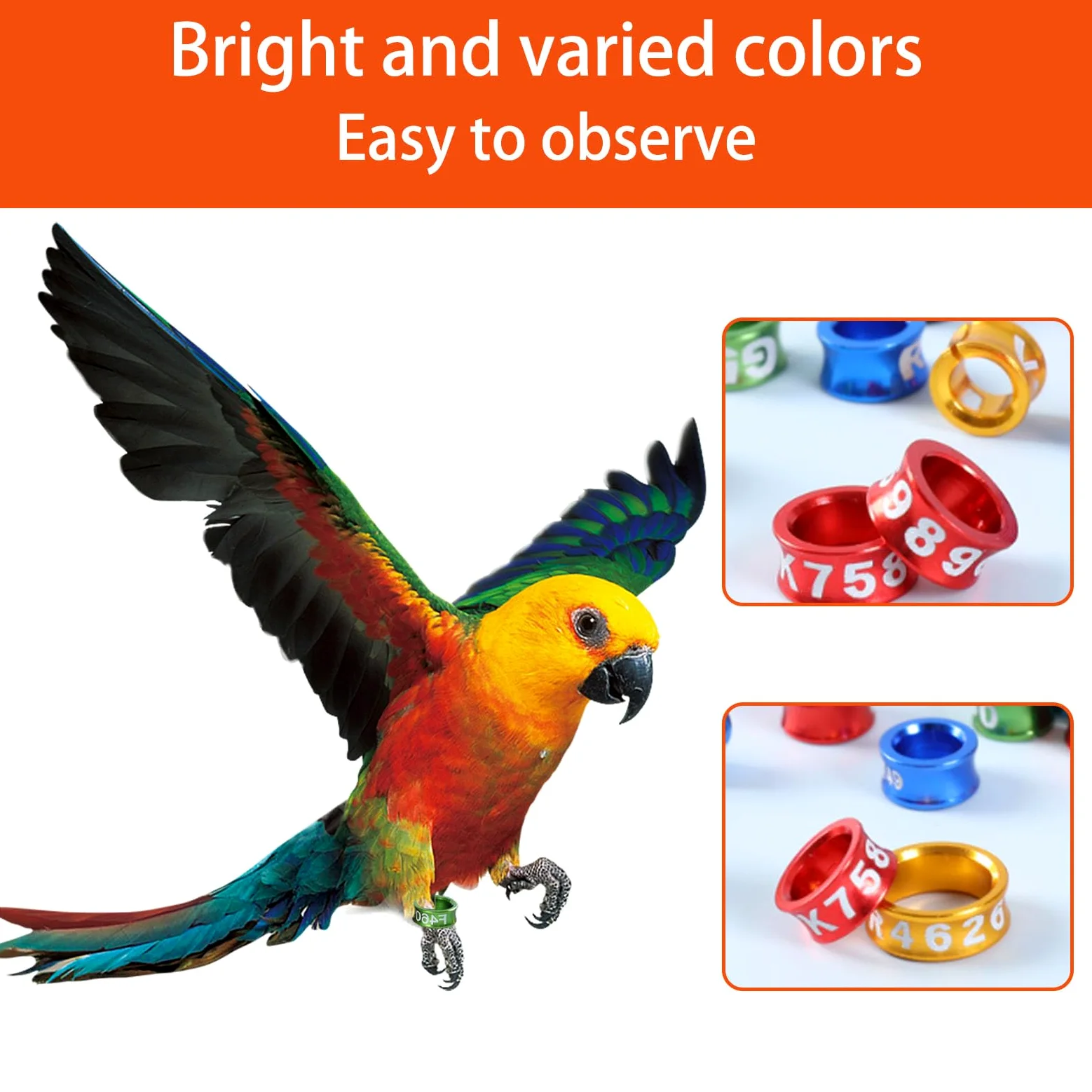 Anillos de pie de pájaros Anillos de Colorido de Pierna Cerrada para pájaros de Hibisco, Loros, peonías, Palomas, etc. （100pcs） 50pieces 4.4MM