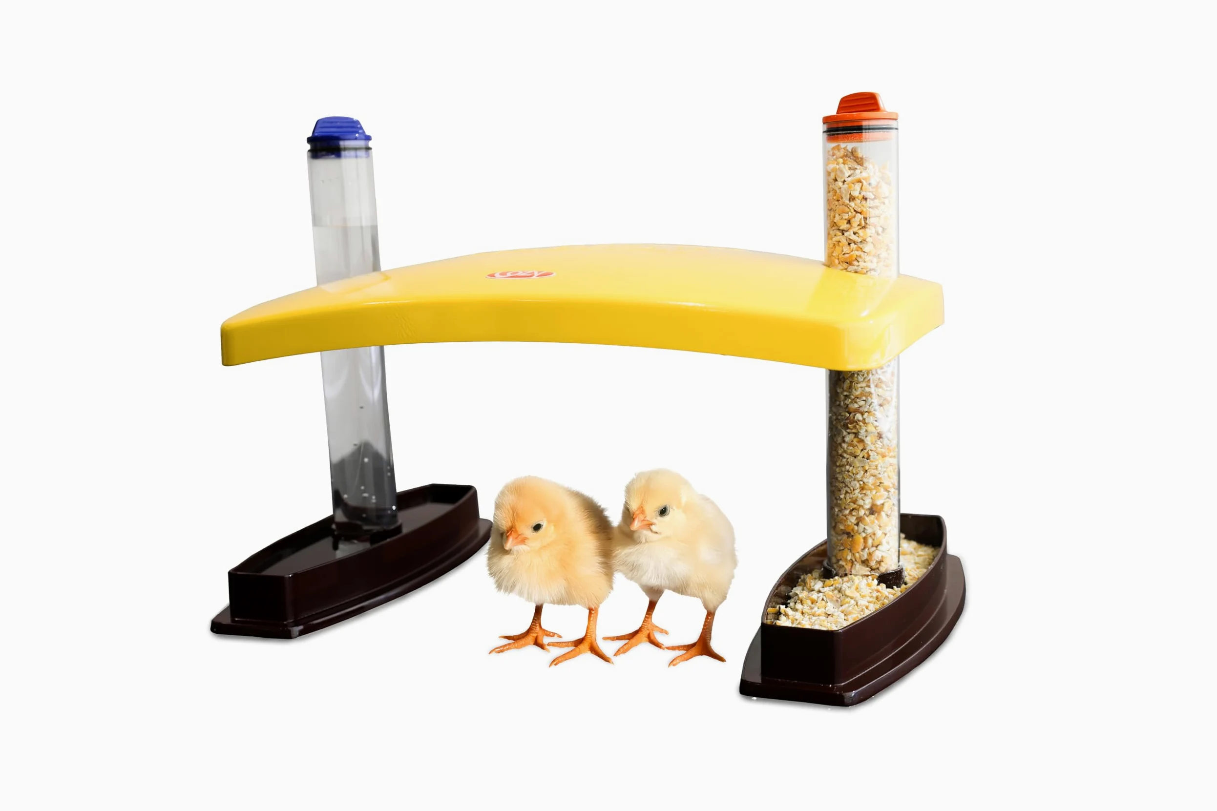 Cozy Chickens - Hábitat para criar pollitos, 100 W, agua y tubos de alimentación
