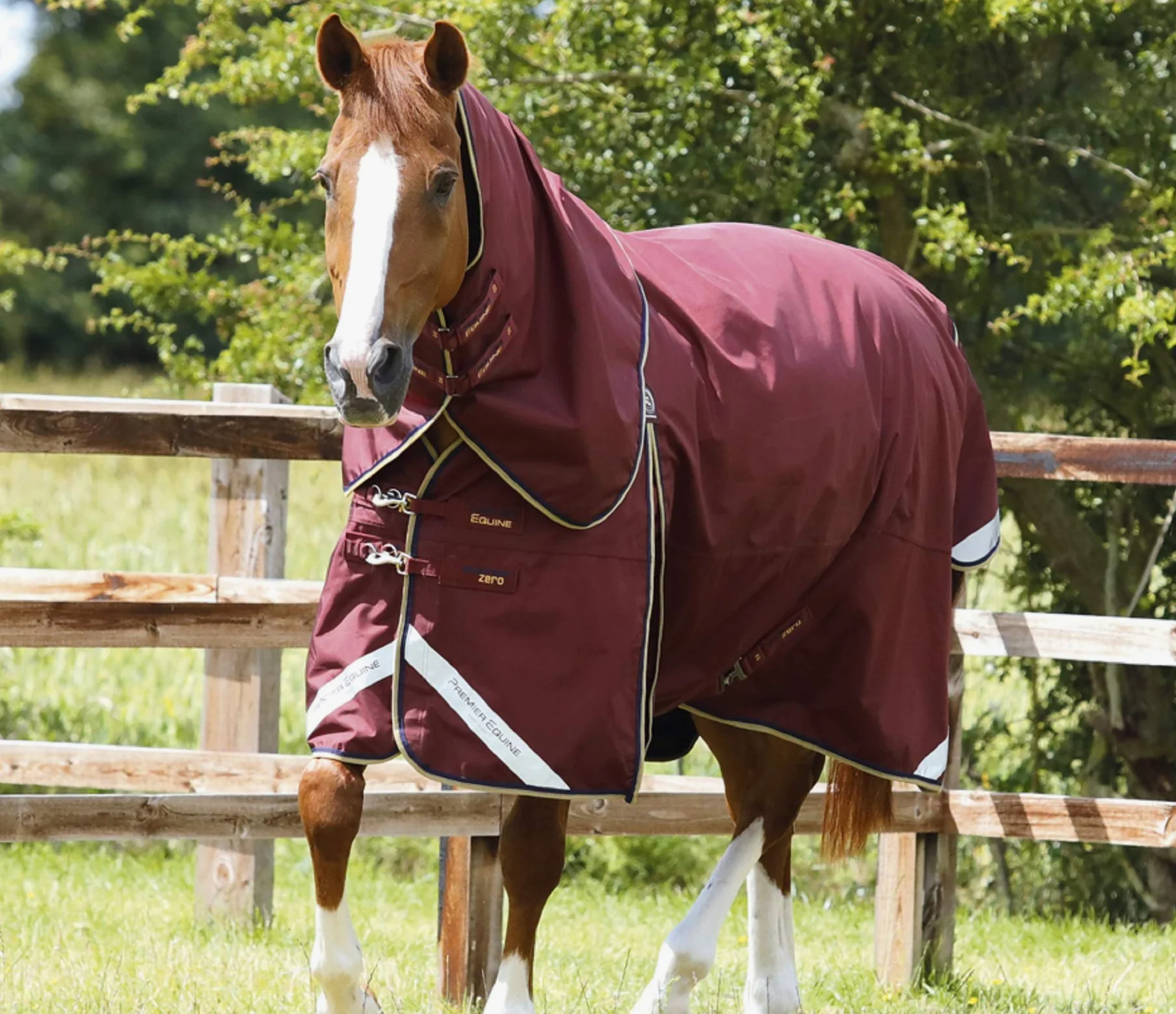 Premier Equine Manta Impermeable para Caballos con cubrecuello Buster 0 g