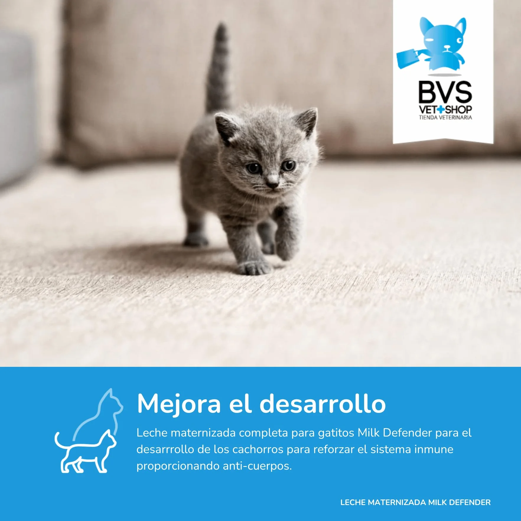 BVS Vet Shop | Leche Maternizada para Gatos Milk Defender | Alimento Completo de Lactancia para el Cuidado Integral de Gatos Cachorros | 1 unid. x 140 gr