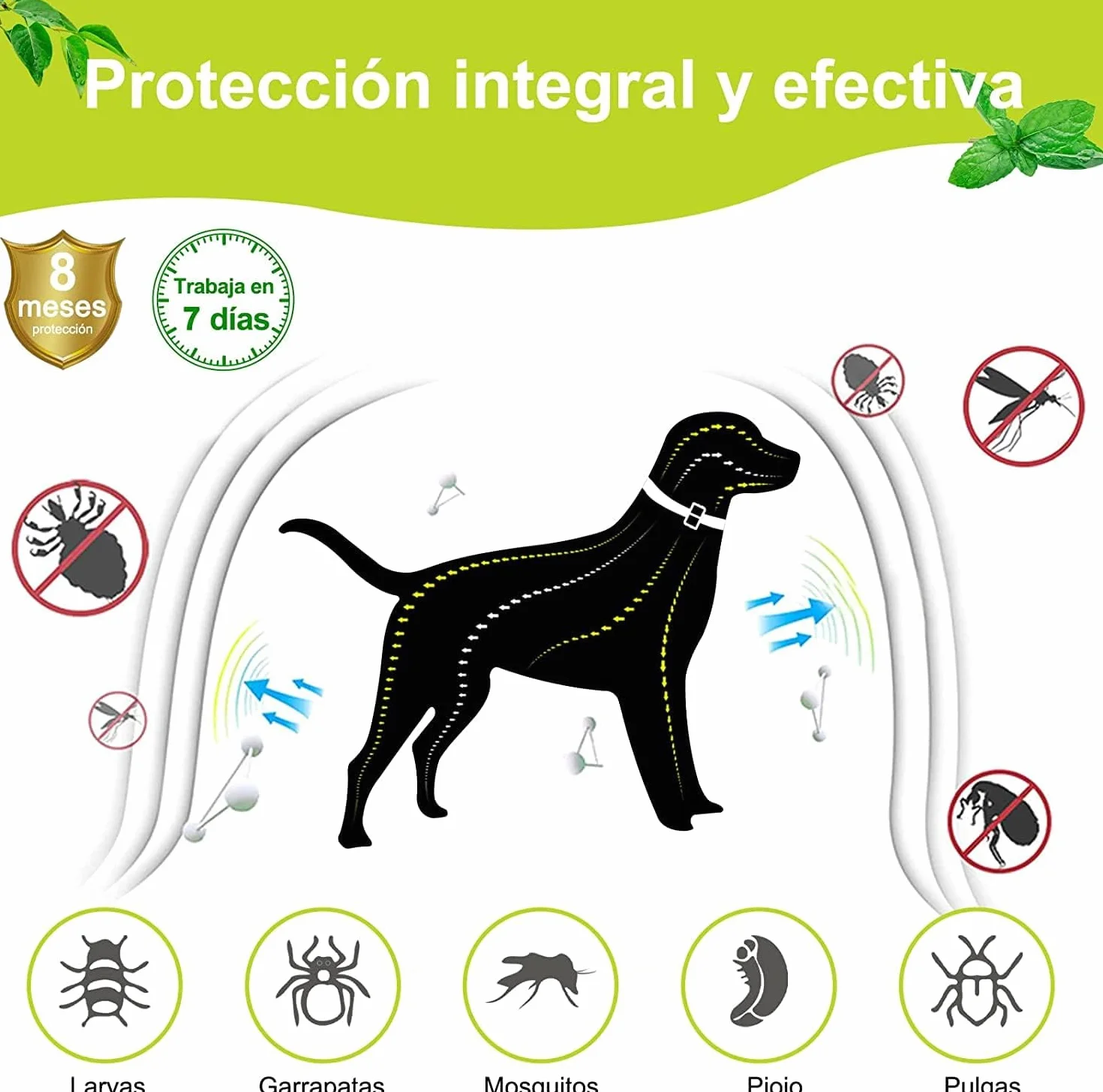 DEWEL Collar Antiparasitario para Perros 63,5 cm Gris 1 Unidad 8 Meses Protección