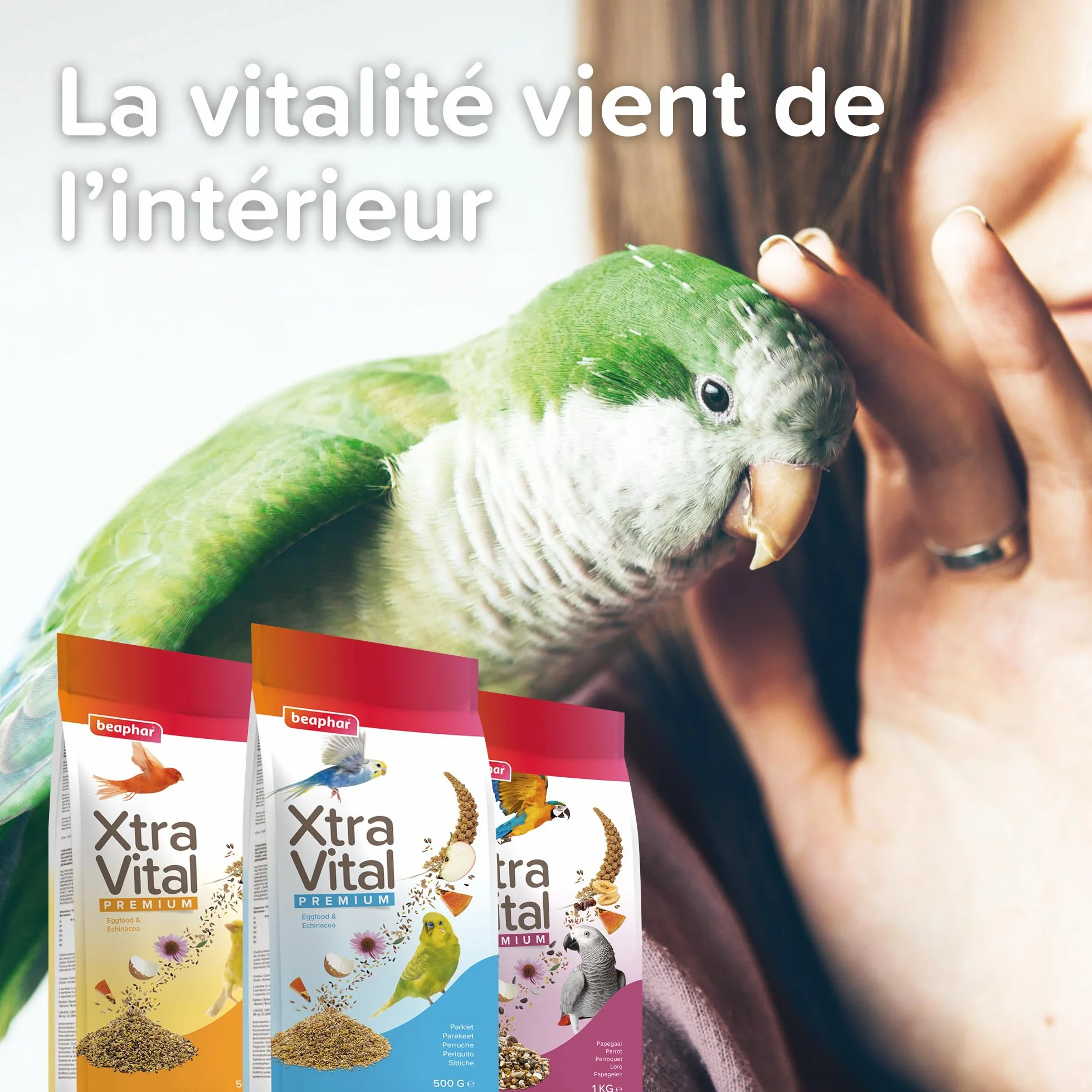 Beaphar Xtravital Canarios - Alimentación Premium - Contiene Frutas, Semillas y Cereales - Fortalece su Sistema inmunológico - Proporciona un Plumaje denso y Mantiene en Buena Salud - 500g