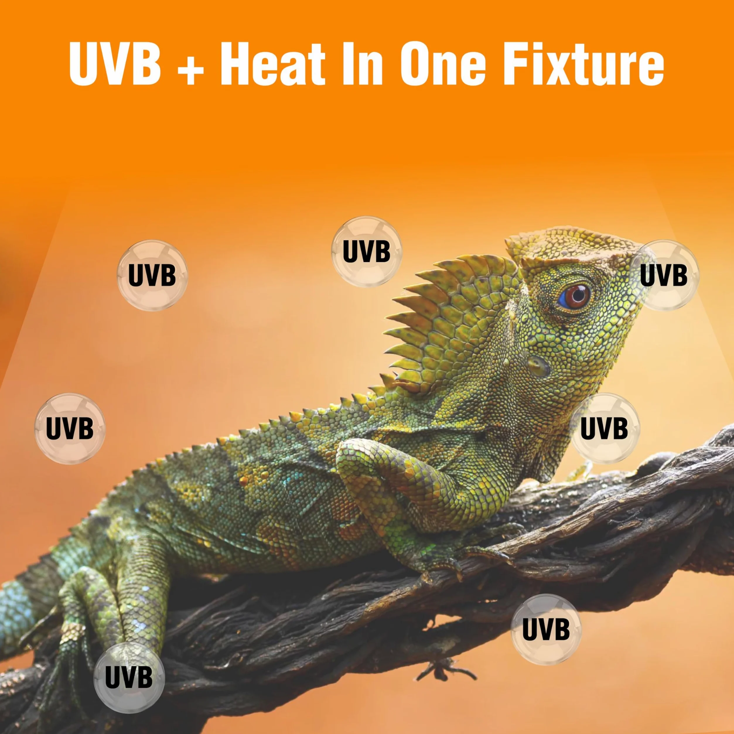 Carolina Custom Cages Reptile - Lámpara estándar T5HO UVB de 24 W, paquete con tubo fluorescente de iluminación para reptiles Zoo Med 10.0 UVB T5HO 24W 22 pulgadas