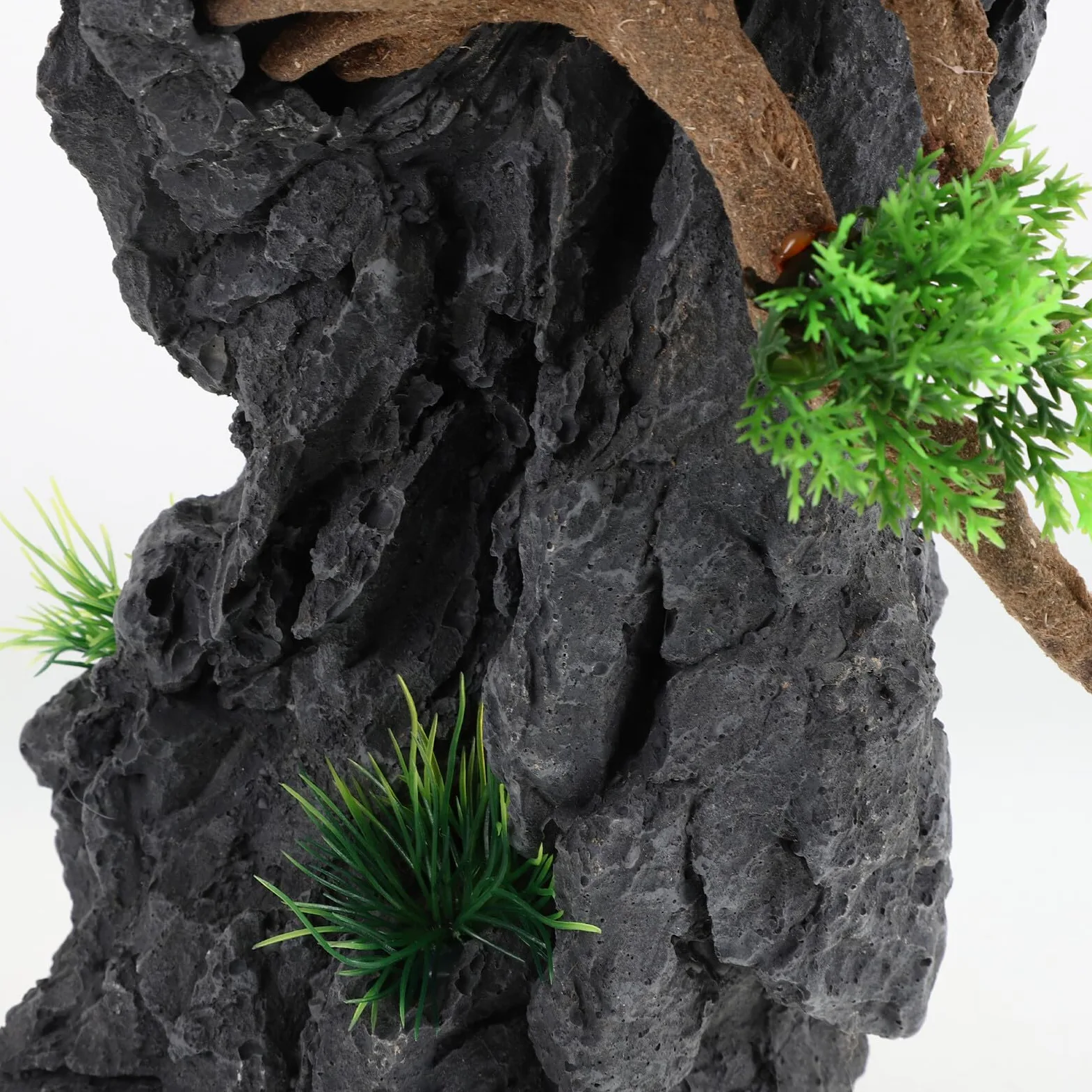 WOONEKY Verdadera De Fiesta Plantas De Acuario De Bajo Mantenimiento Vegetación De Decoración De Peces