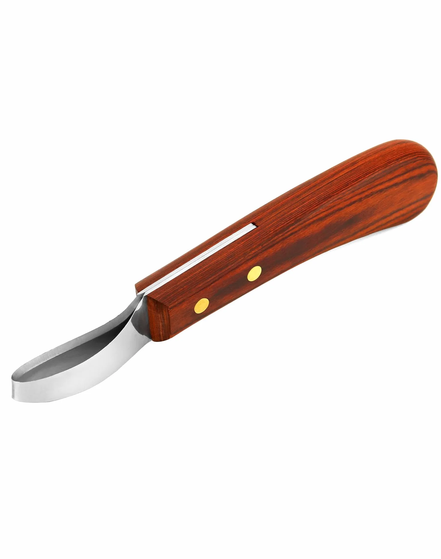 QWORK® Cuchillo para pezuñas de Acero Inoxidable de Primera Calidad con Mango, Cuchillo para bucles, Herramienta para Recortar pezuñas para Caballos