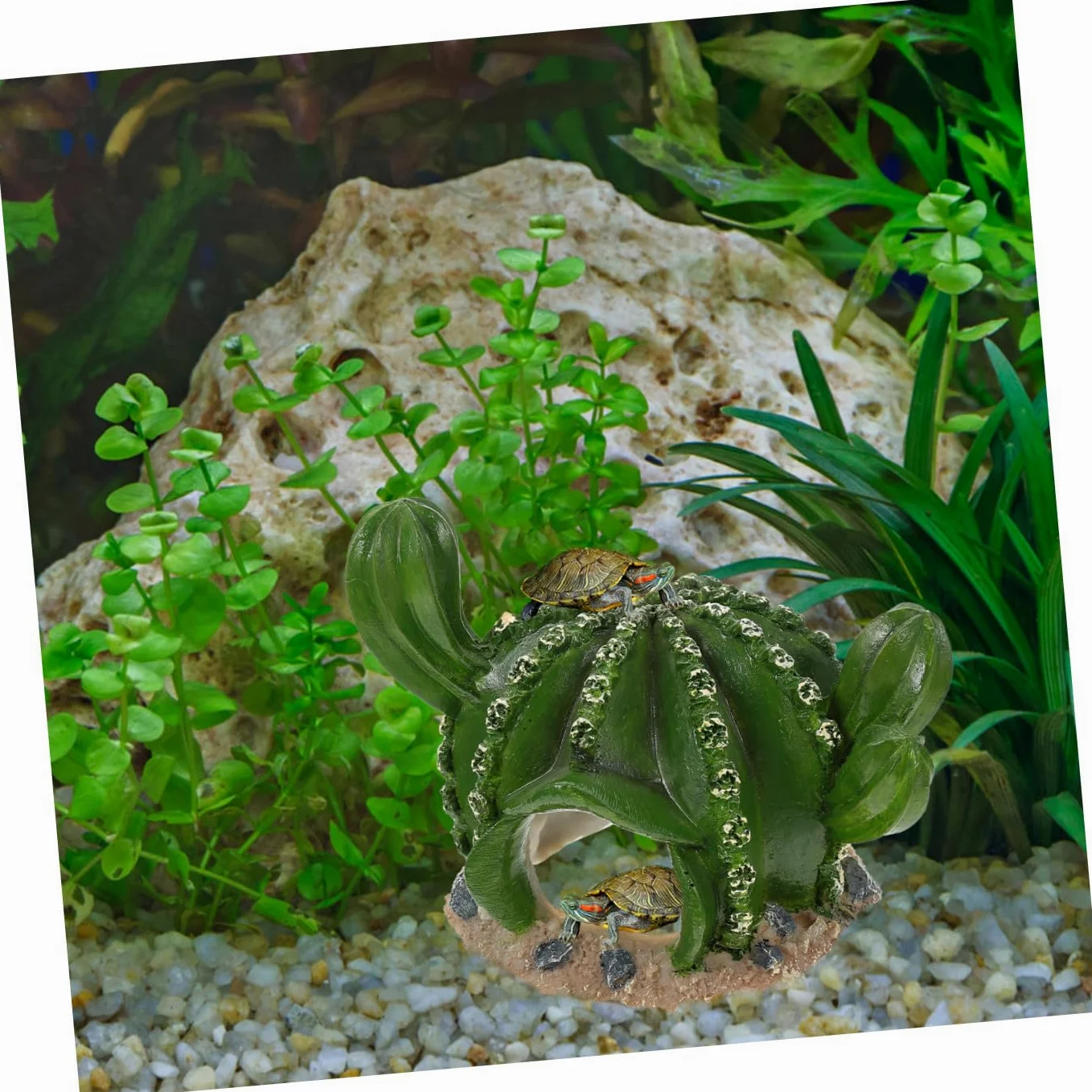 BESPORTBLE Adornos De Jardinería para Peceras 3 Piezas Mesa De con Patas Escondite De Reptiles Decoración para Pecera De Serpientes Pecera De Reptiles Dragón Barbudo Escondite